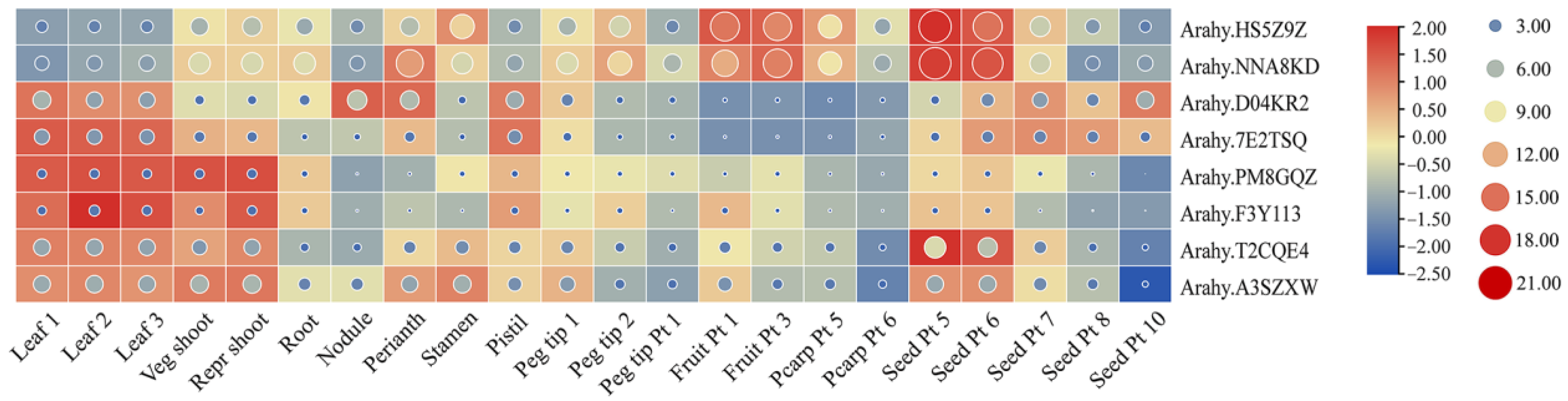 Genes 14 01478 g007 Genes 14 01478 g007