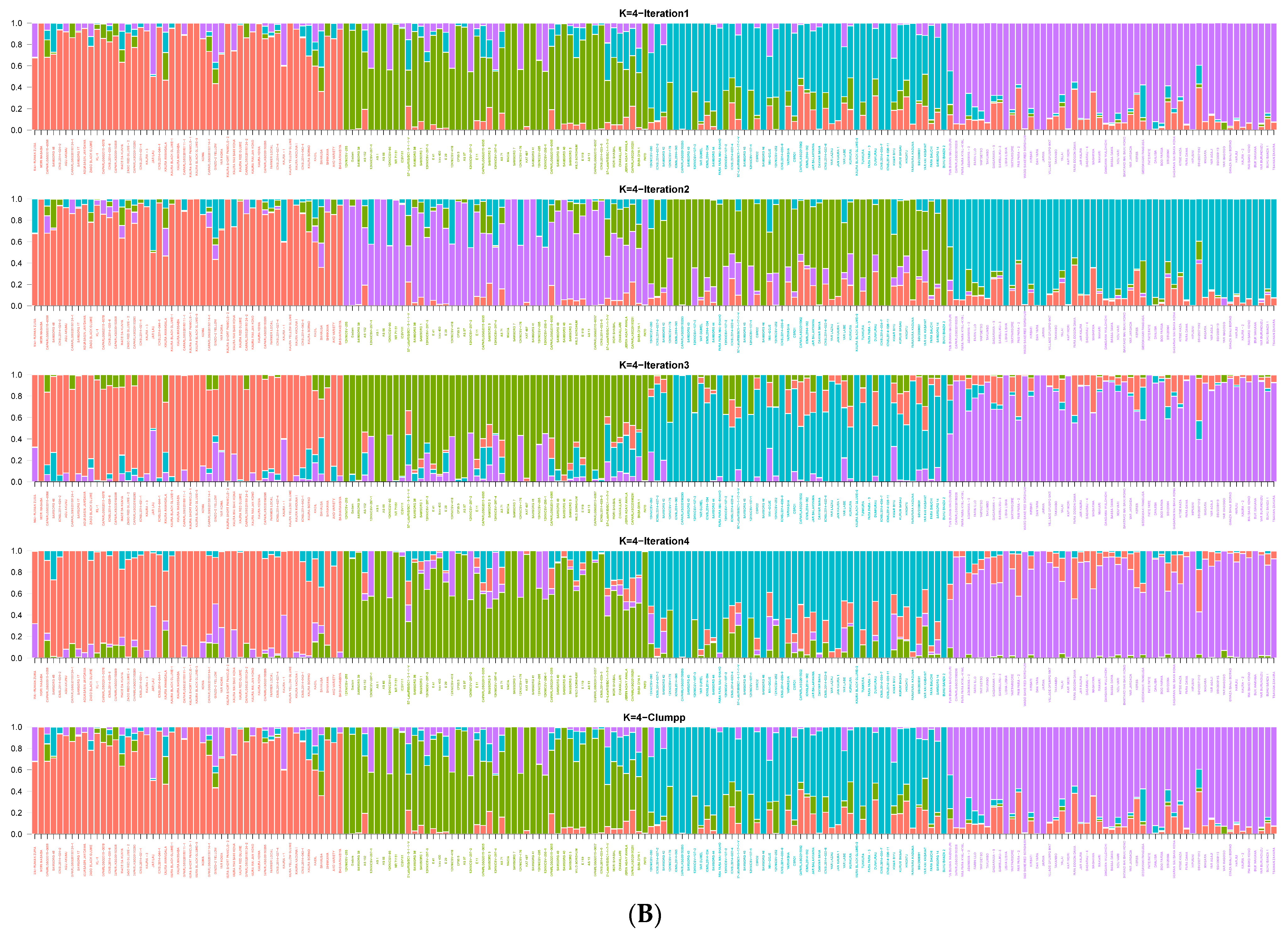 Genes 14 01480 g001b Genes 14 01480 g001b