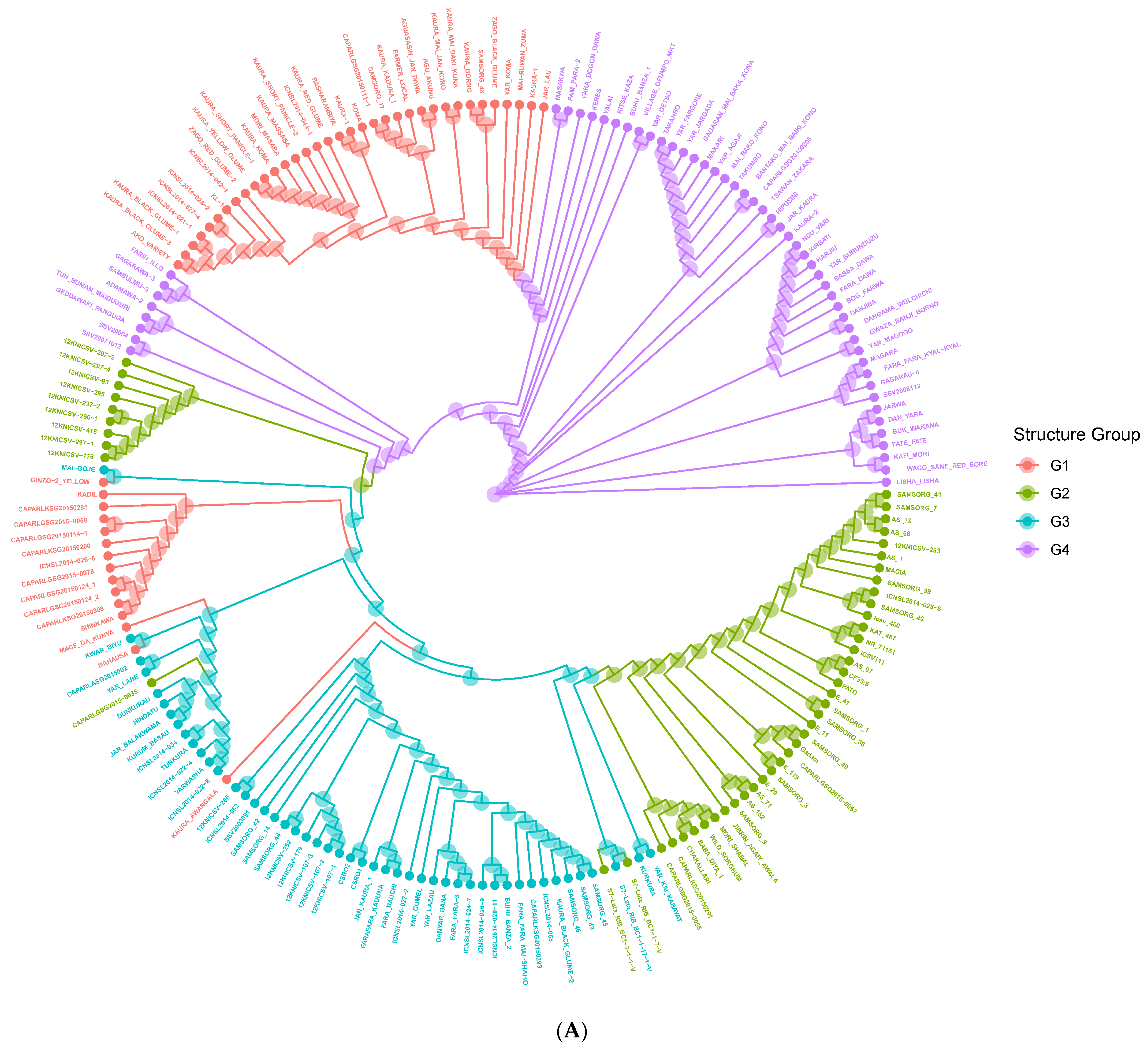 Genes 14 01480 g004a Genes 14 01480 g004a
