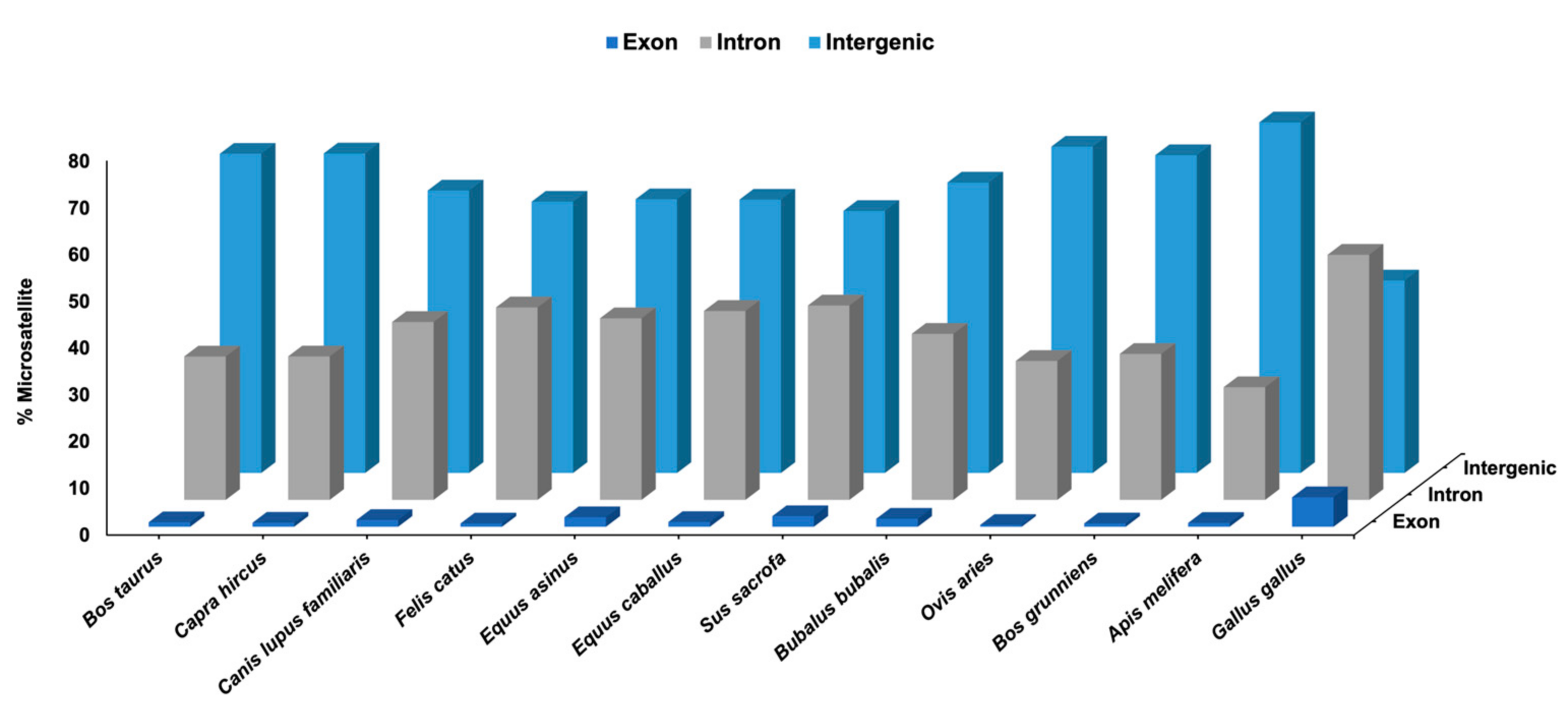 Genes 14 01481 g003 Genes 14 01481 g003