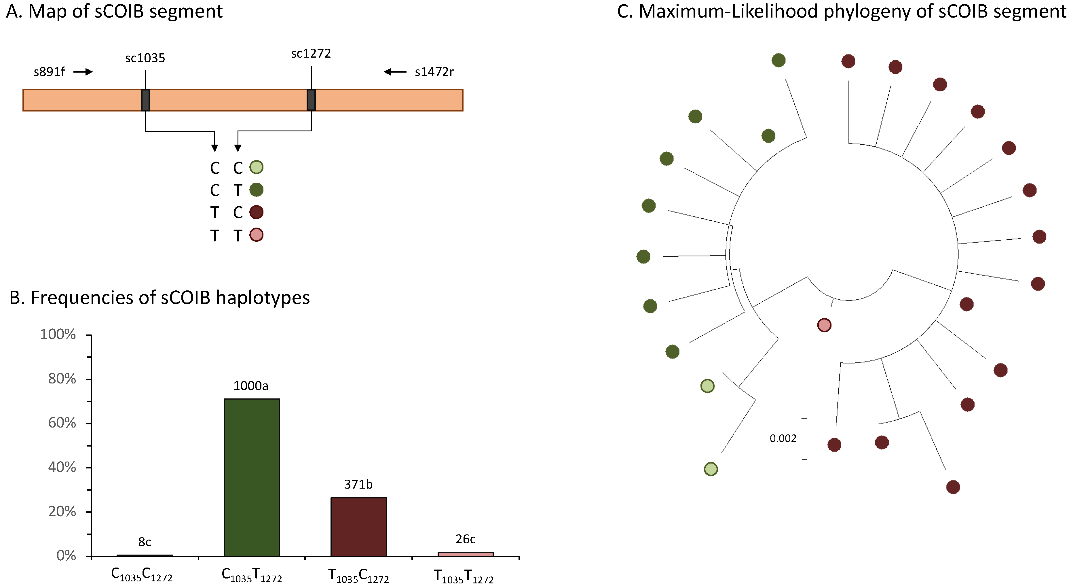 Genes 14 01495 g003