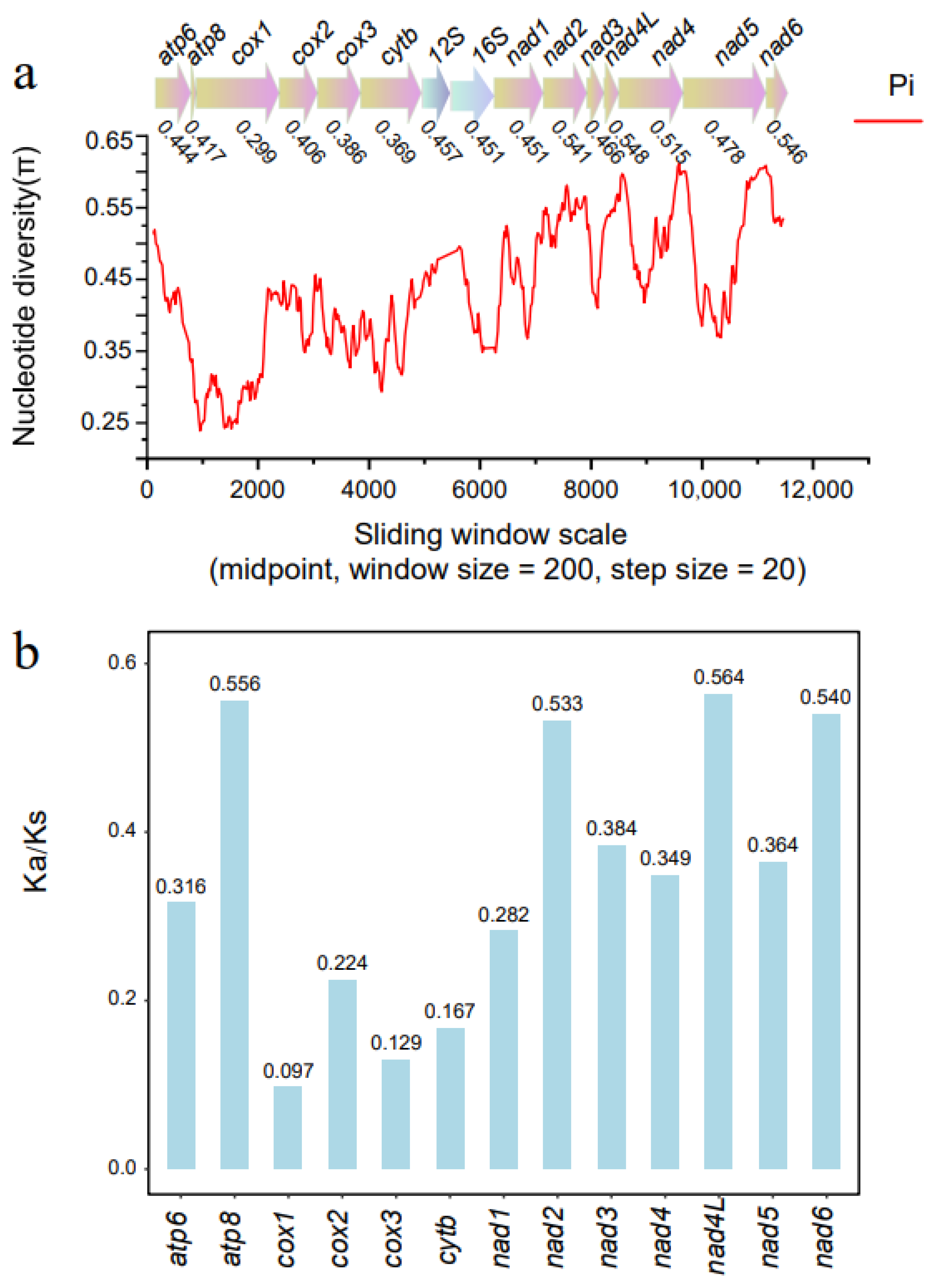 Genes 14 01496 g004