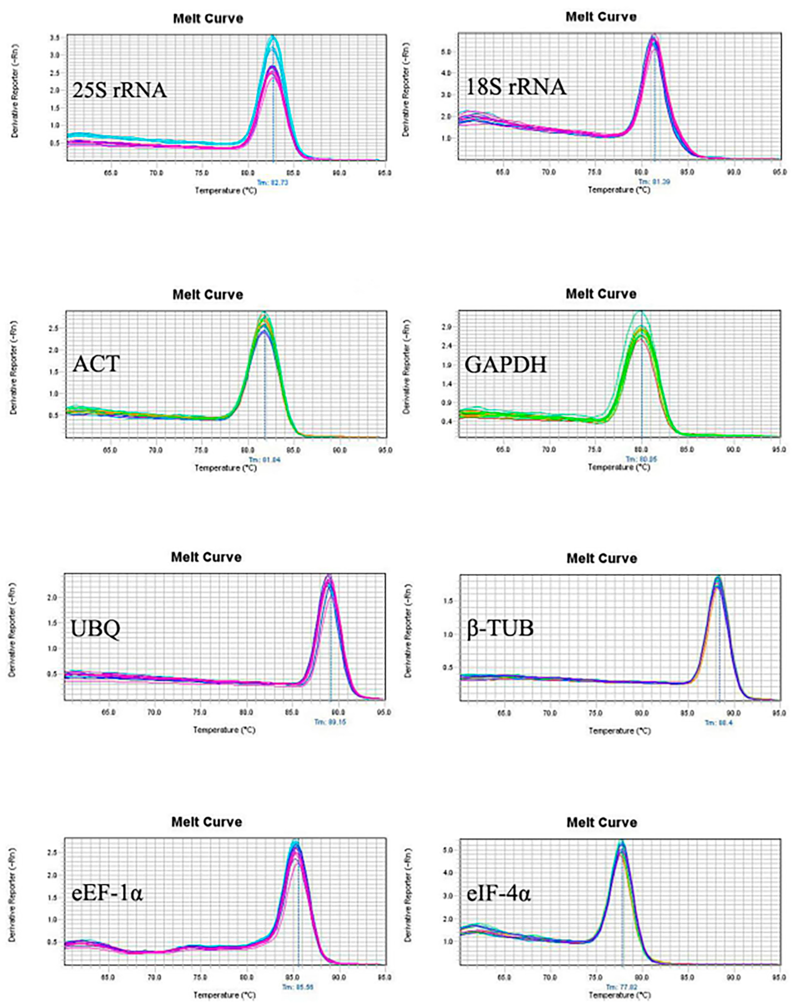 Genes 14 01513 g001 Genes 14 01513 g001