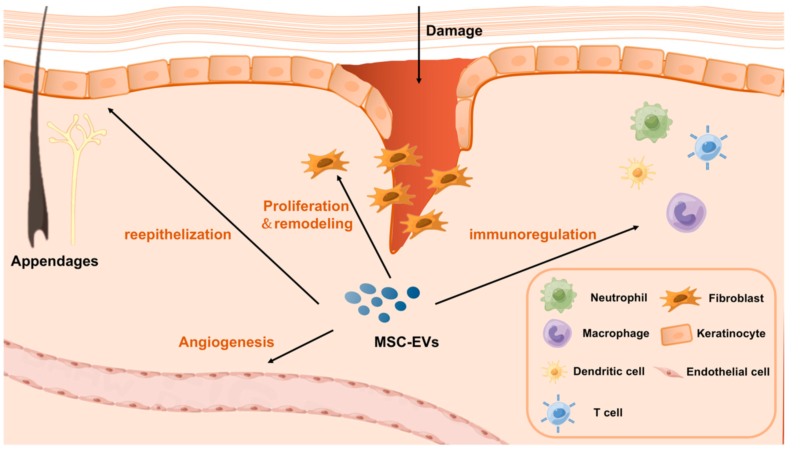 Genes 14 01516 g001 Genes 14 01516 g001