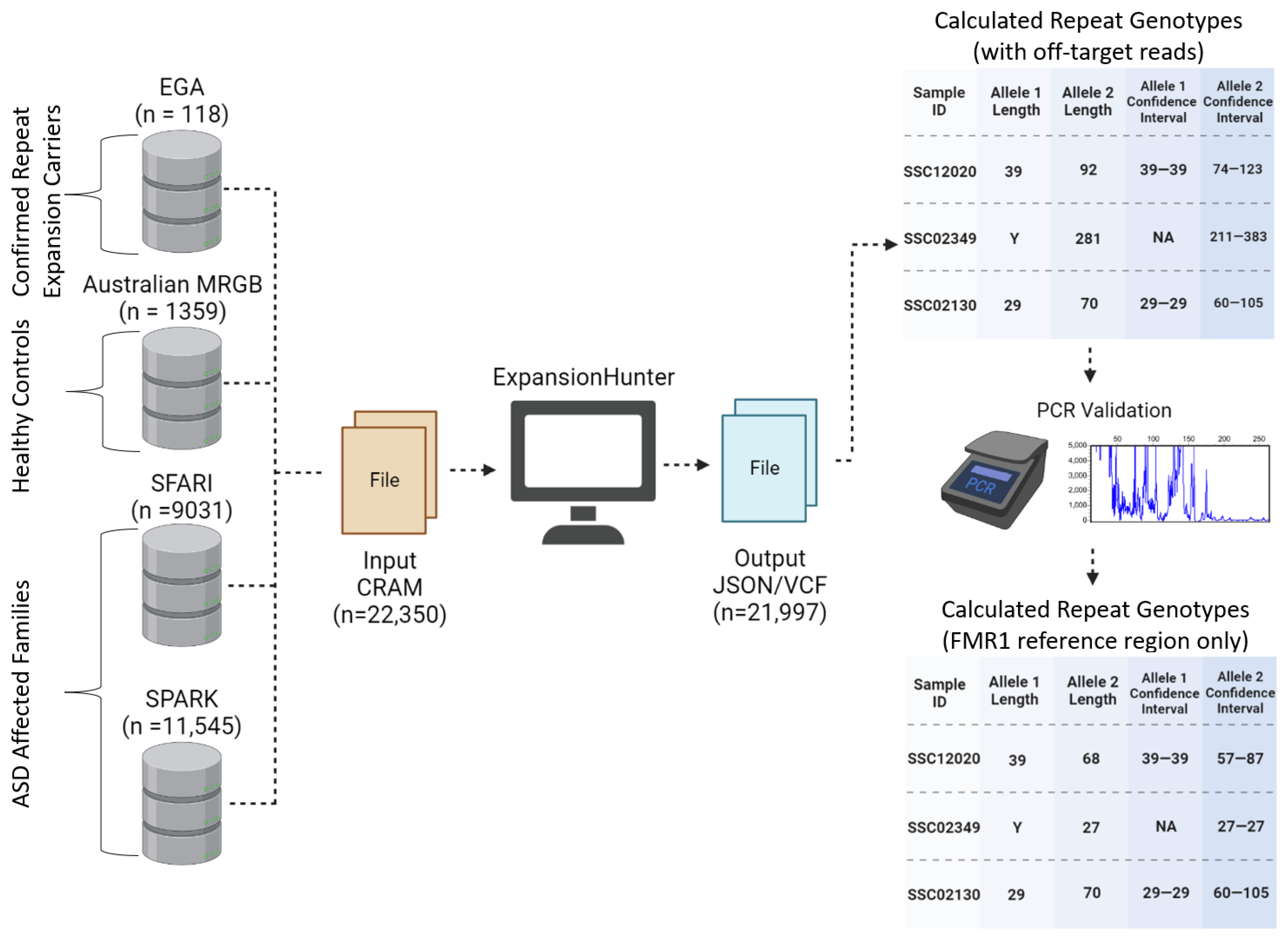Genes 14 01518 g001 Genes 14 01518 g001