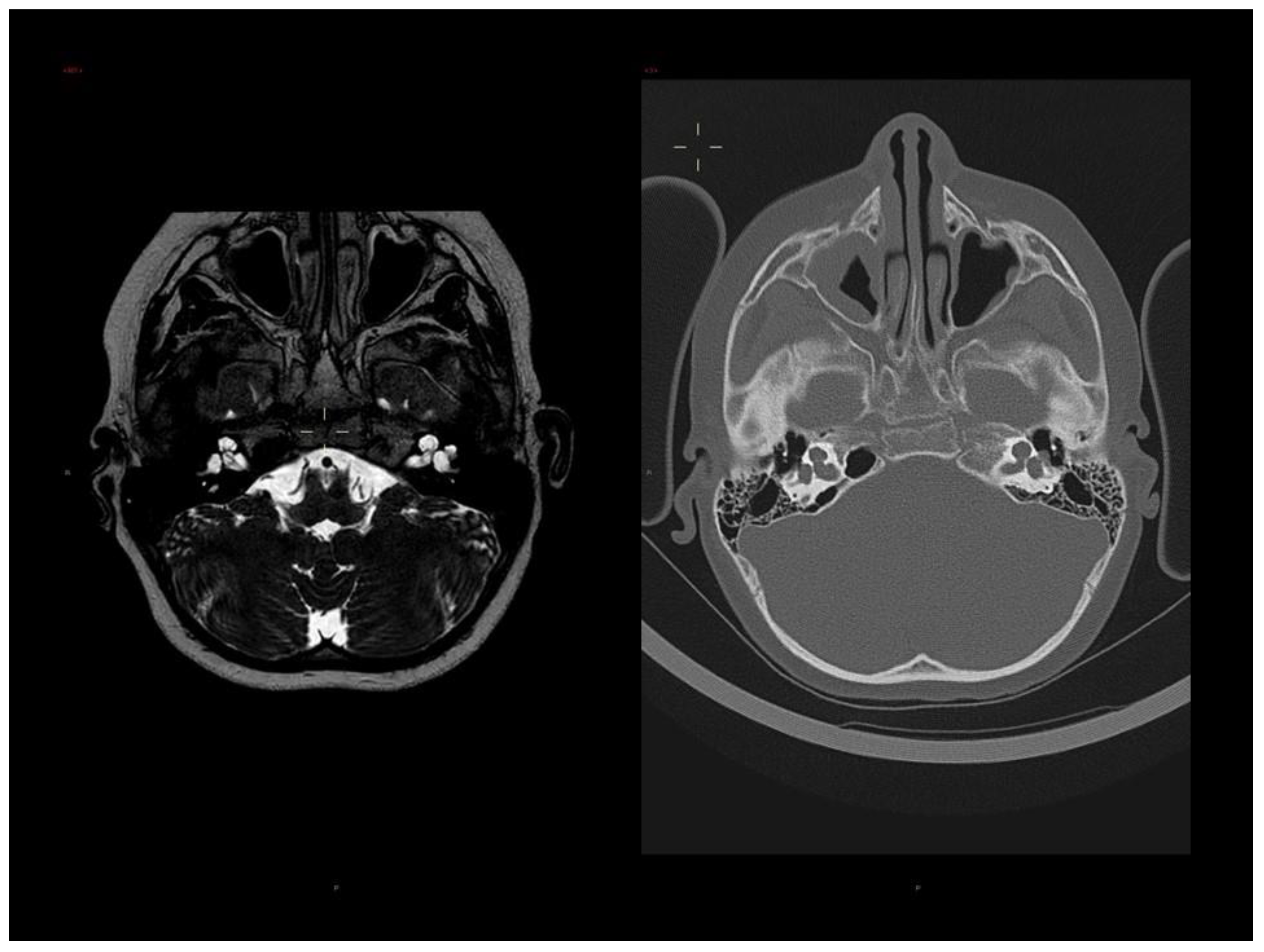 Genes 14 01526 g002 Genes 14 01526 g002