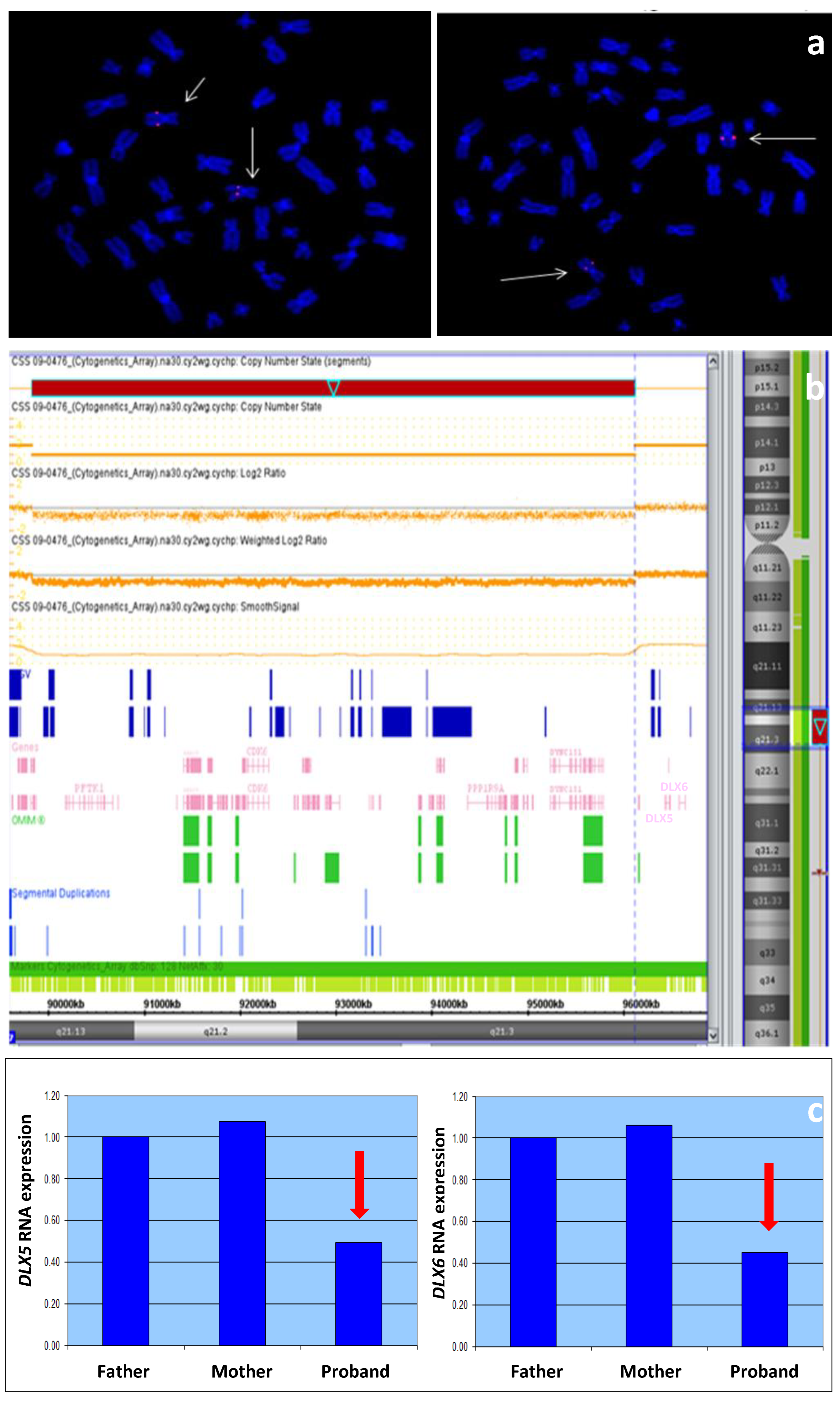Genes 14 01526 g003 Genes 14 01526 g003