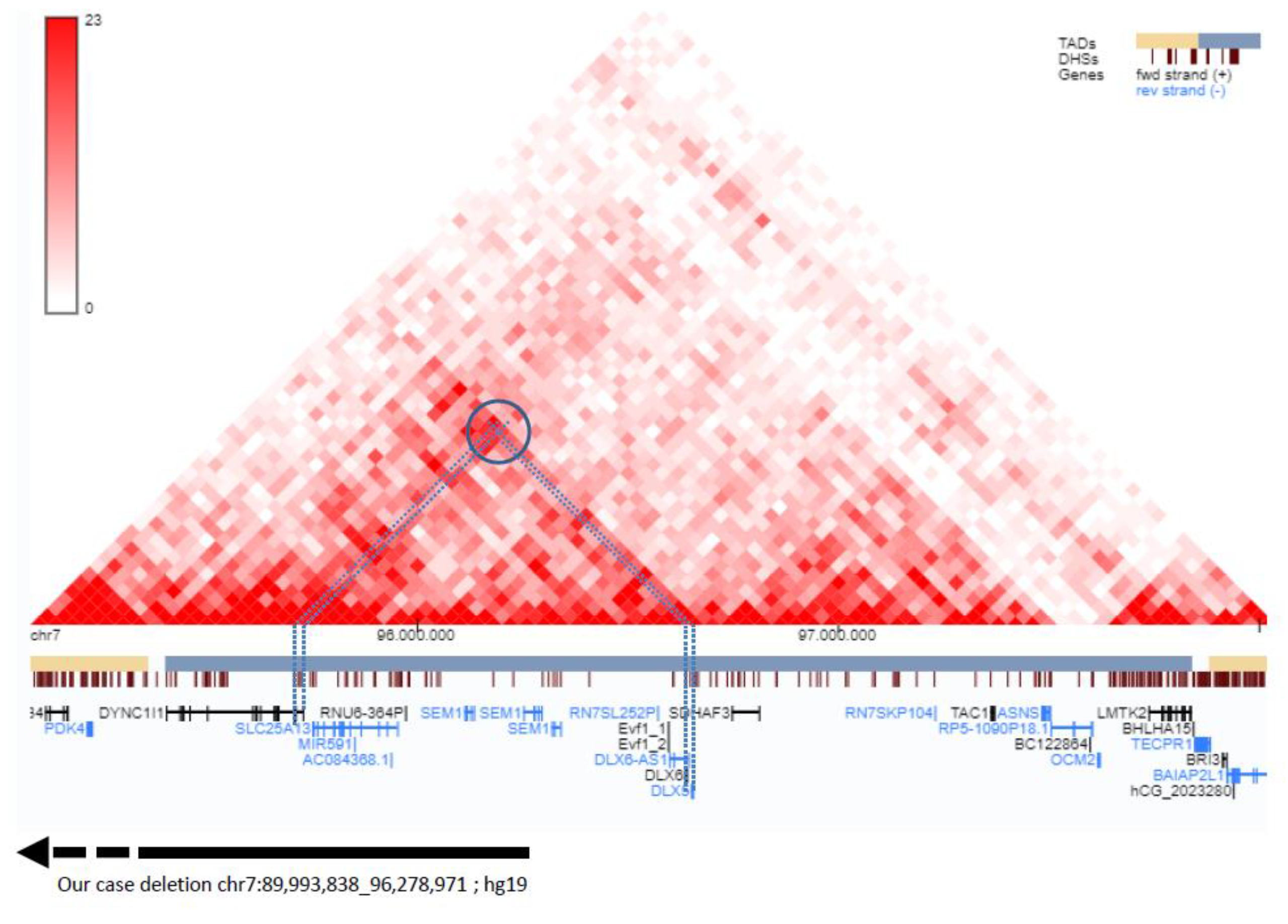 Genes 14 01526 g004 Genes 14 01526 g004