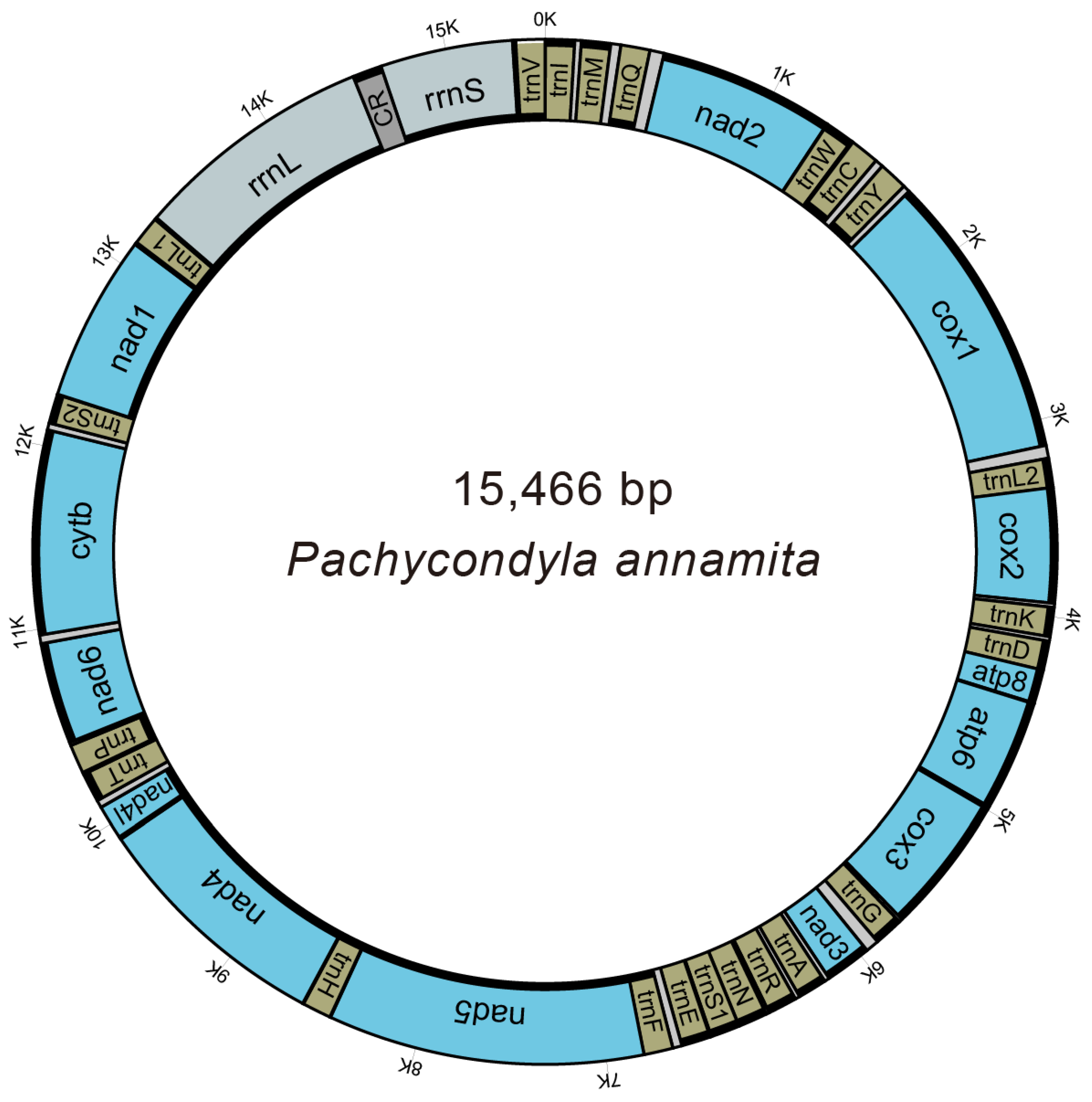 Genes 14 01528 g001 Genes 14 01528 g001