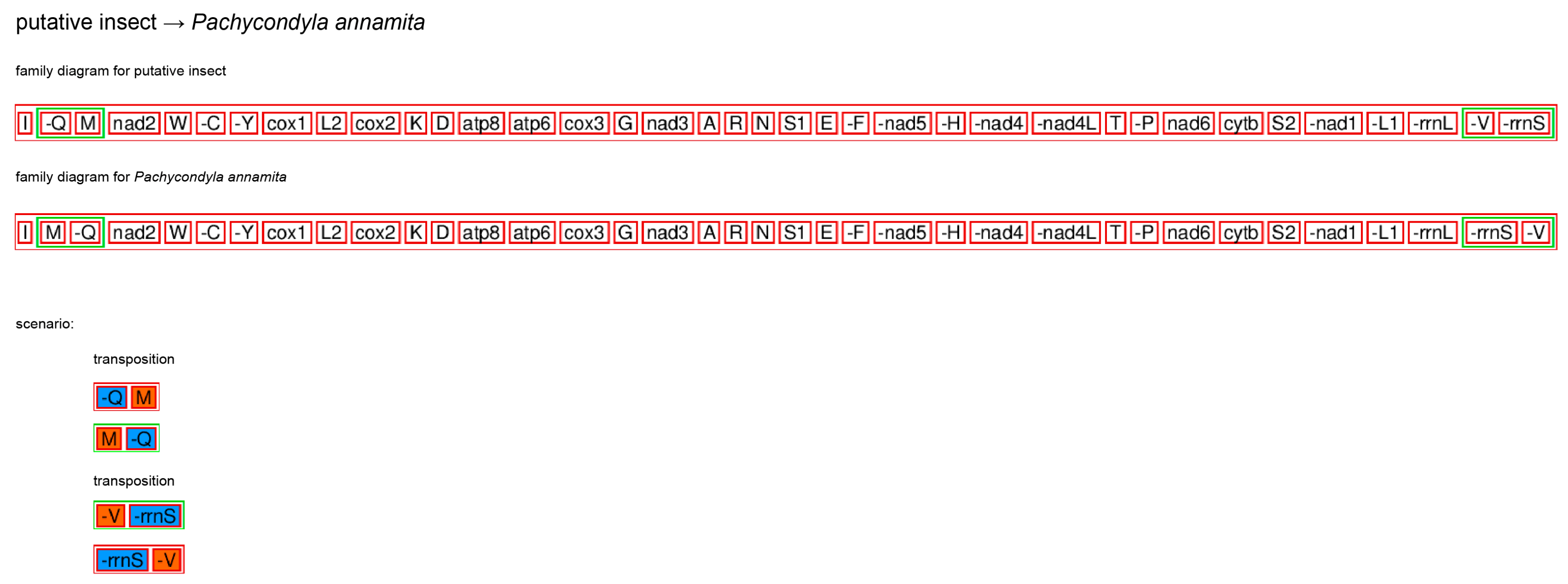 Genes 14 01528 g002 Genes 14 01528 g002