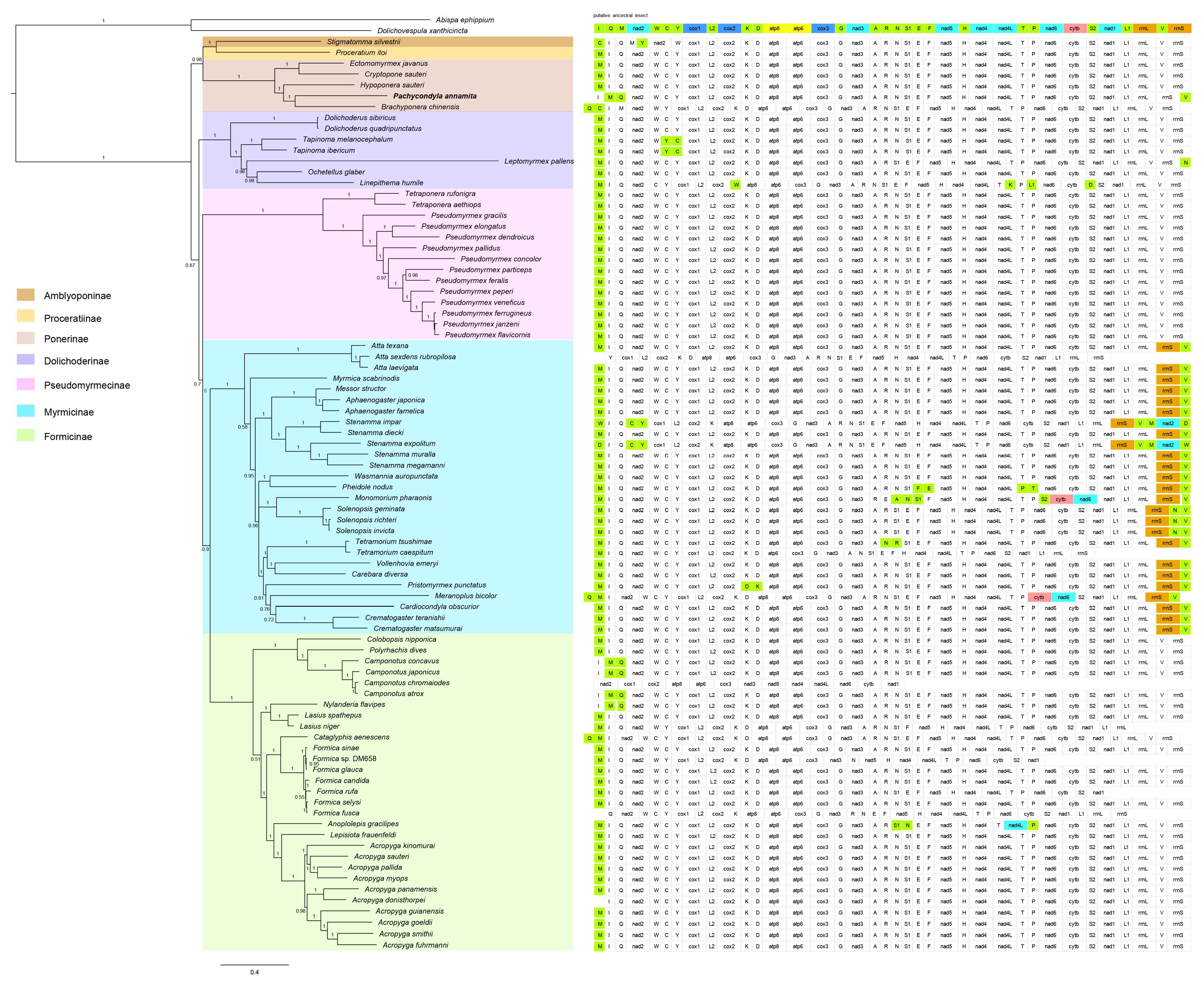 Genes 14 01528 g006 Genes 14 01528 g006