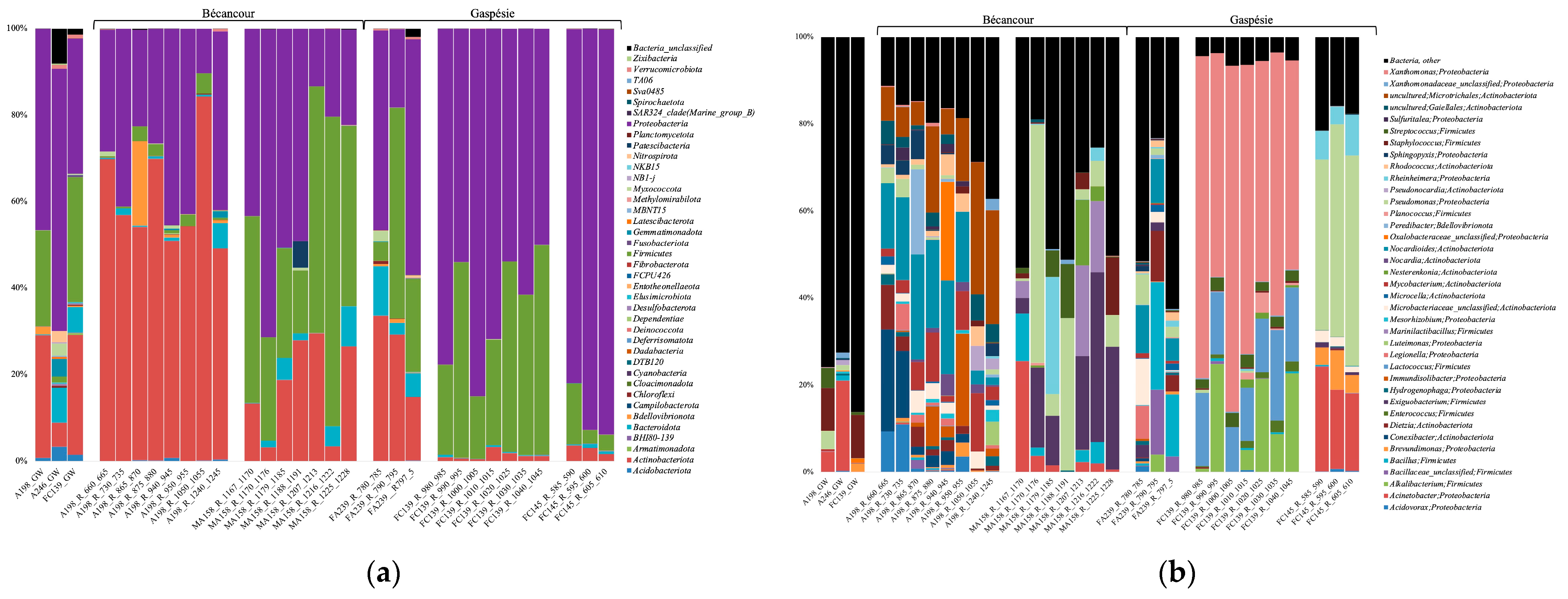 Genes 14 01529 g001 Genes 14 01529 g001