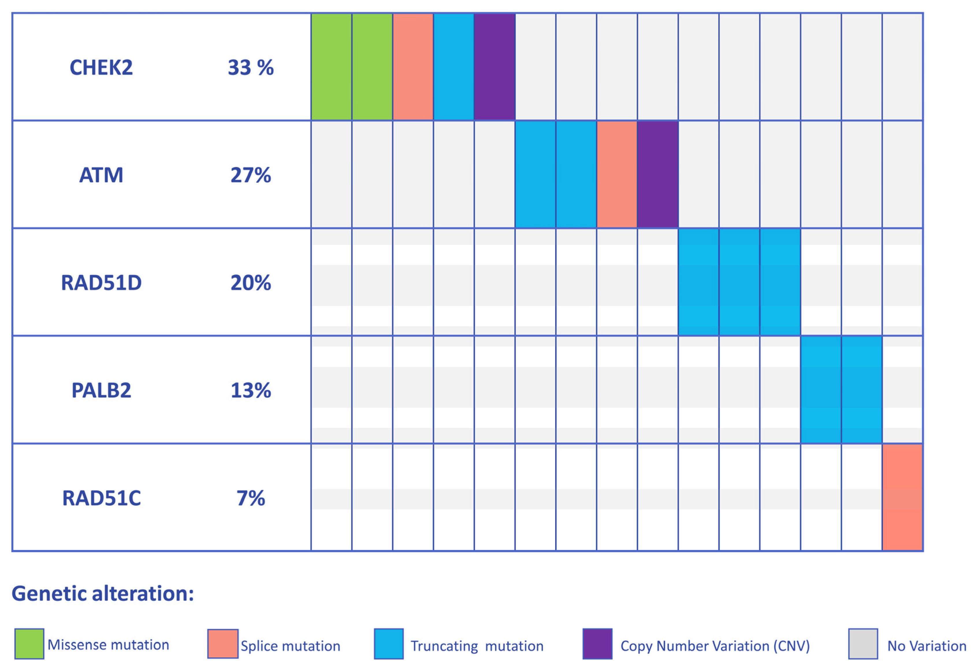 Genes 14 01530 g001 Genes 14 01530 g001