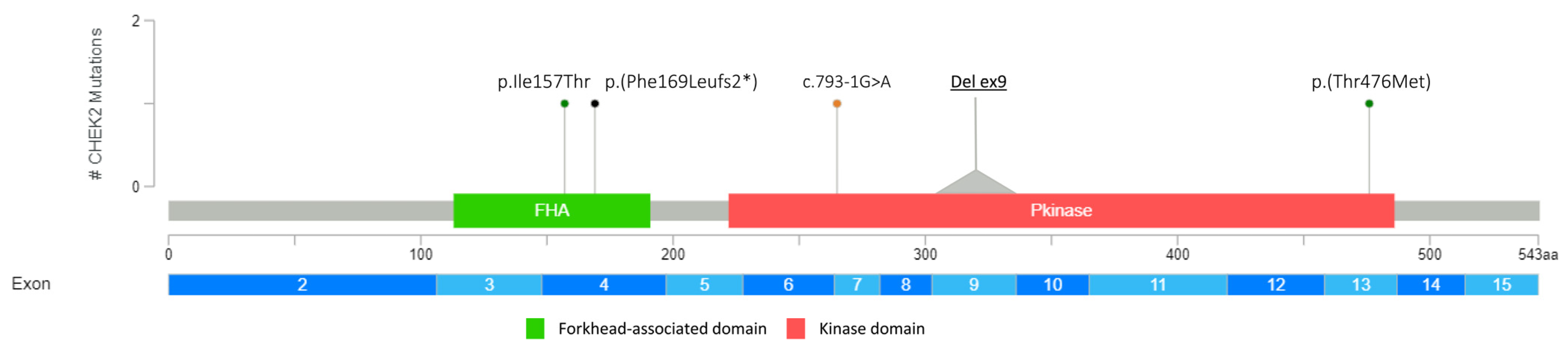 Genes 14 01530 g002 Genes 14 01530 g002