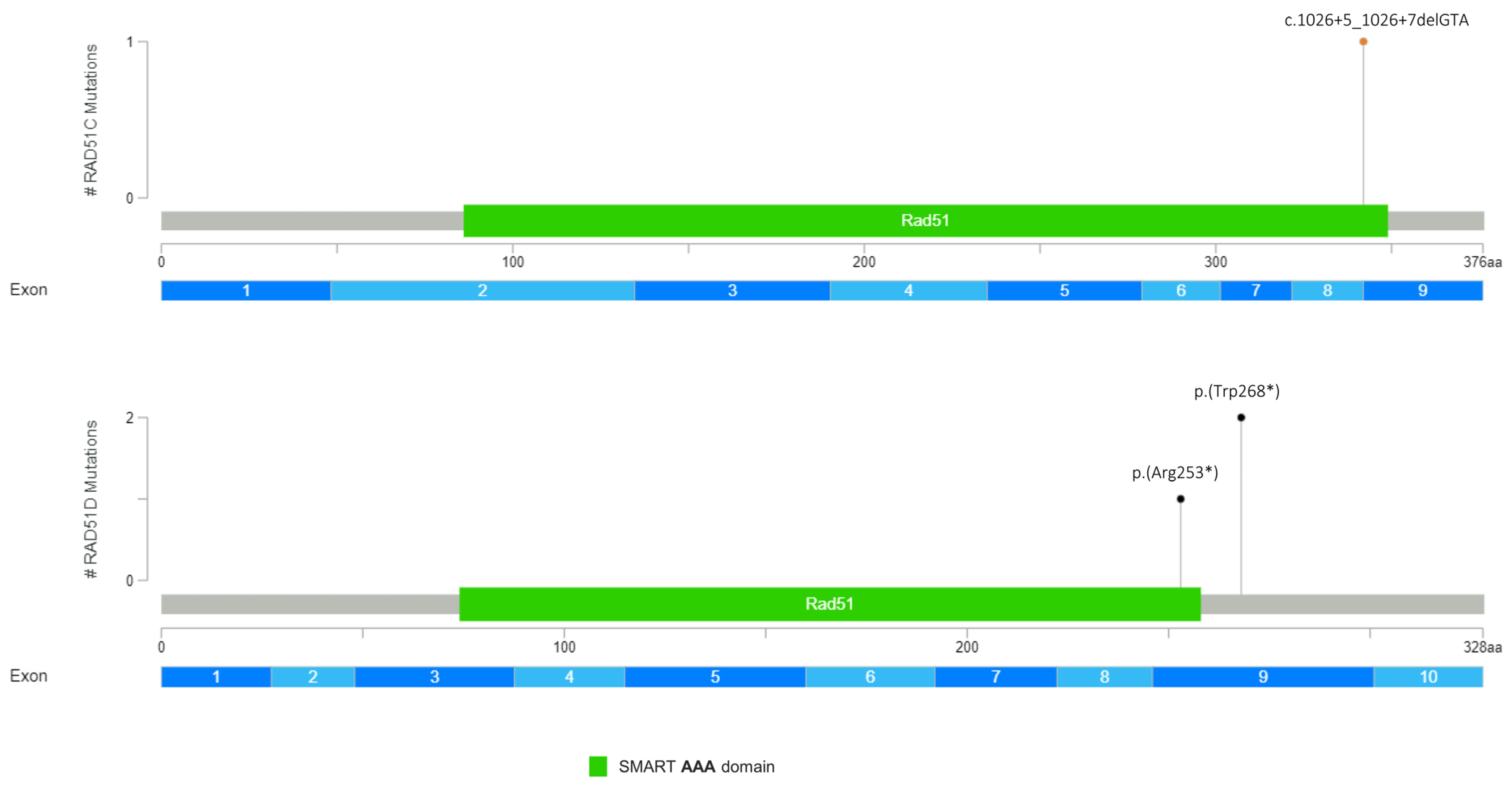 Genes 14 01530 g004 Genes 14 01530 g004