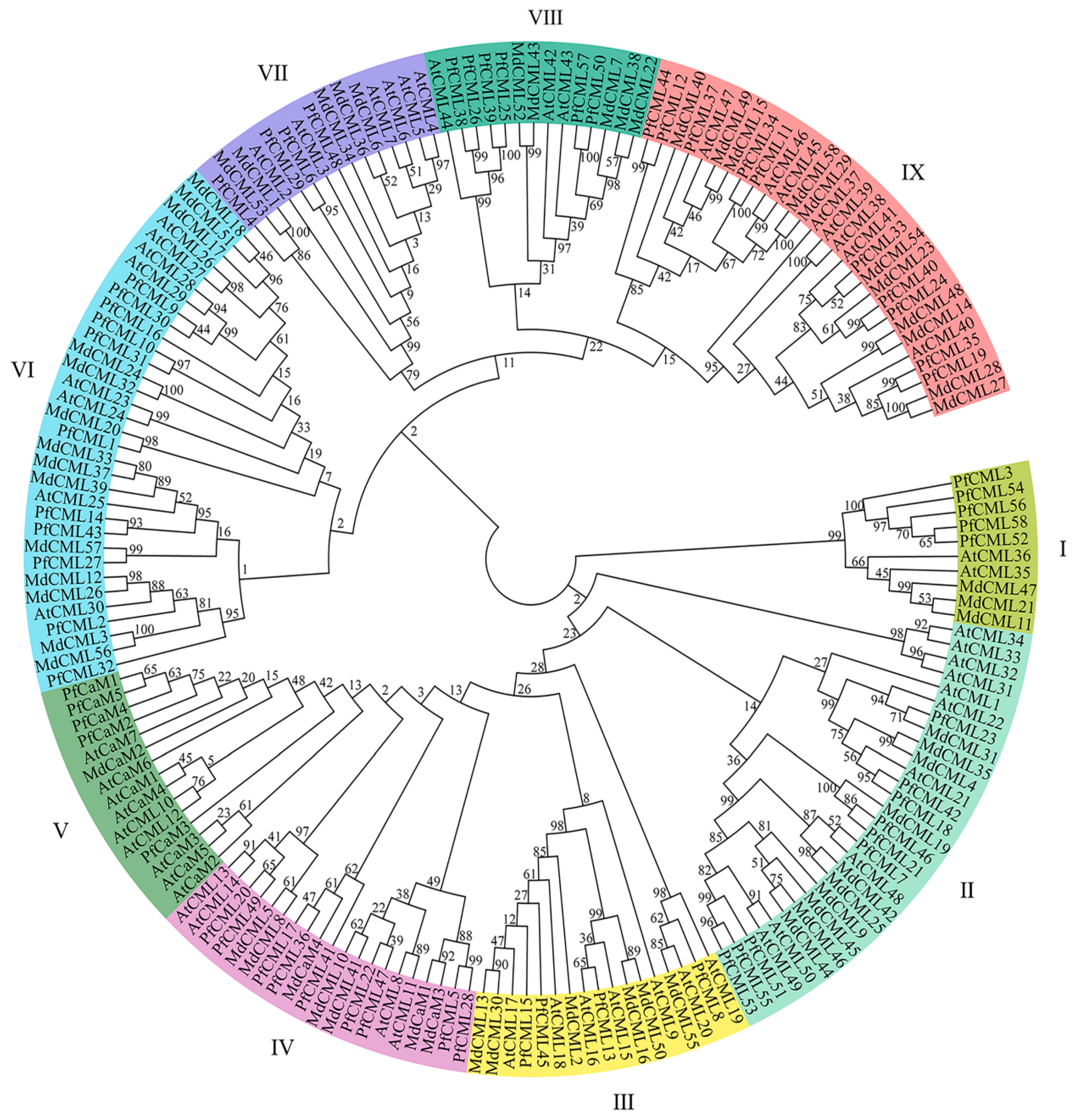 Genes 14 01540 g001 Genes 14 01540 g001