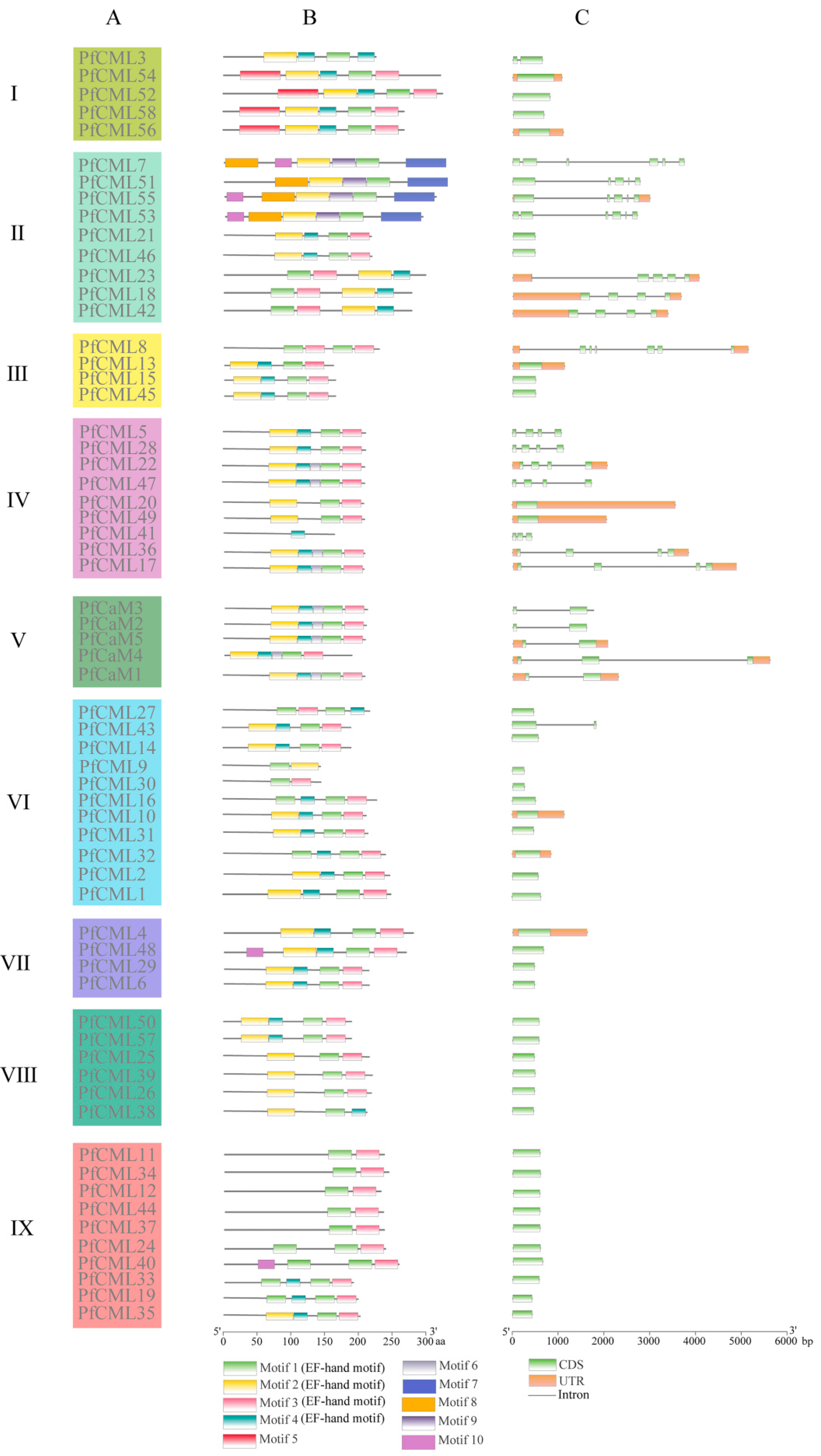 Genes 14 01540 g002 Genes 14 01540 g002