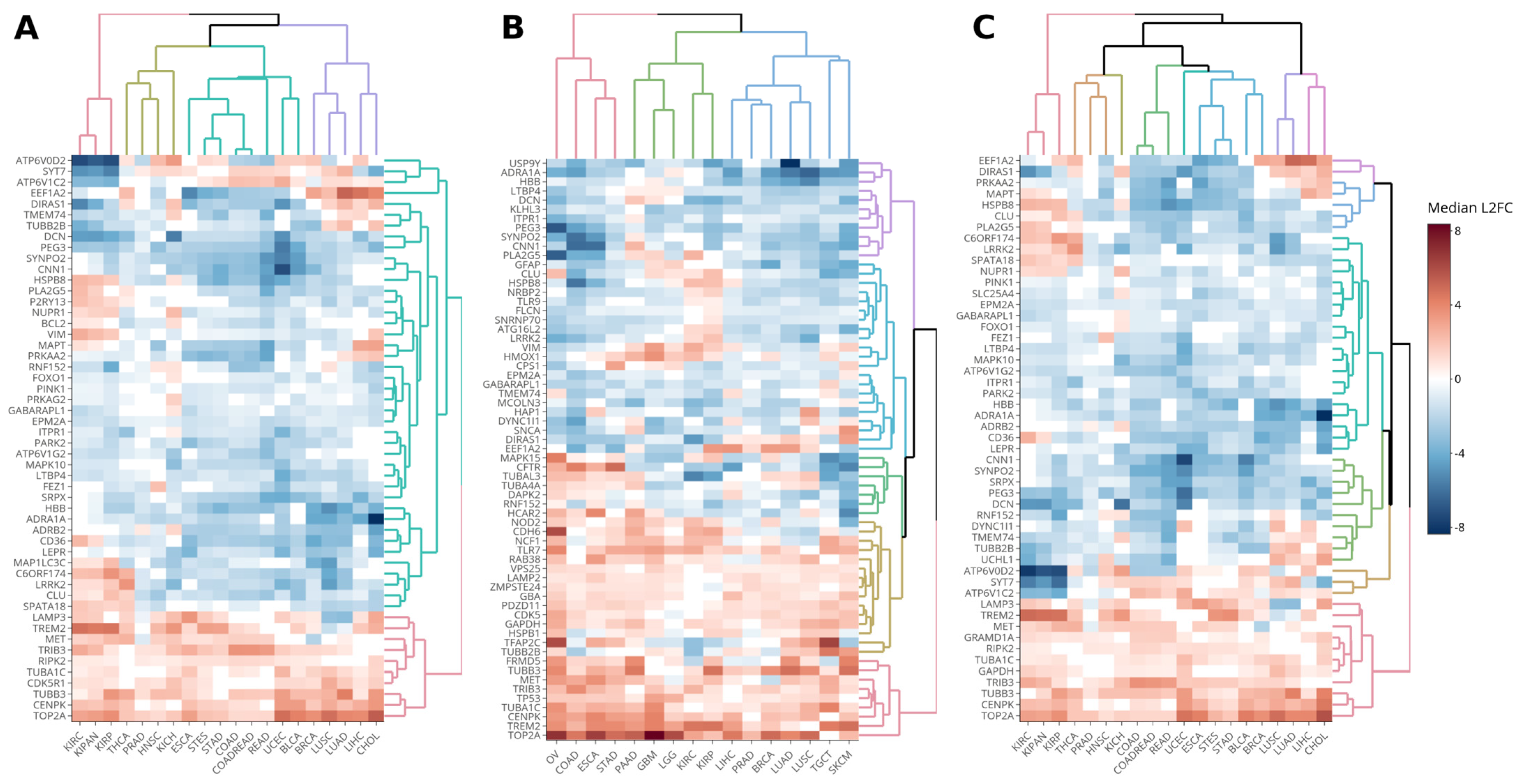 Genes 14 01550 g001