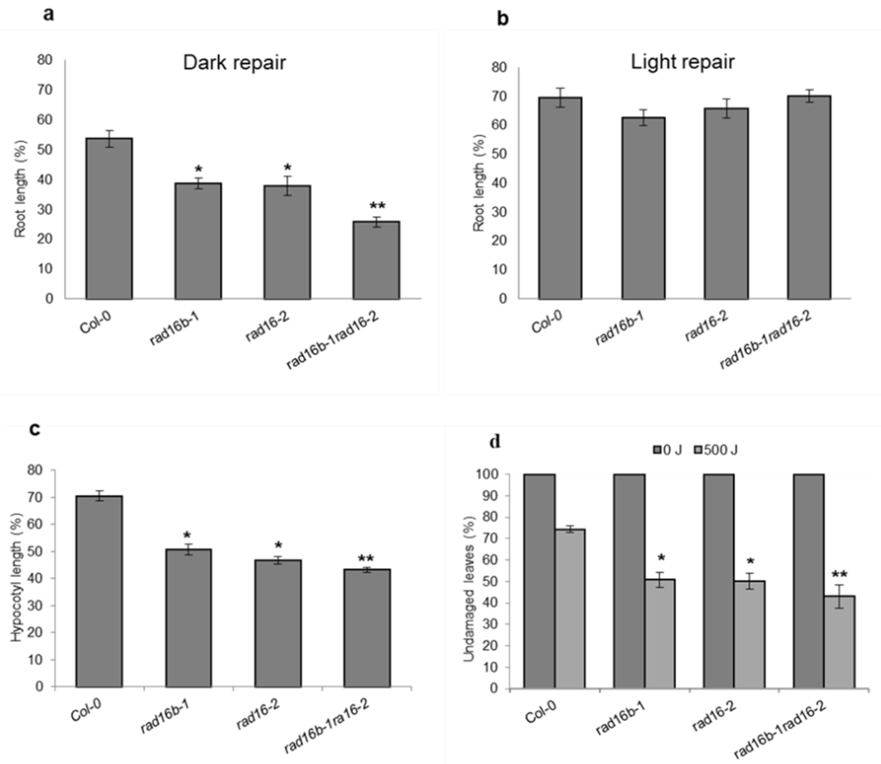 Genes 14 01552 g003 Genes 14 01552 g003