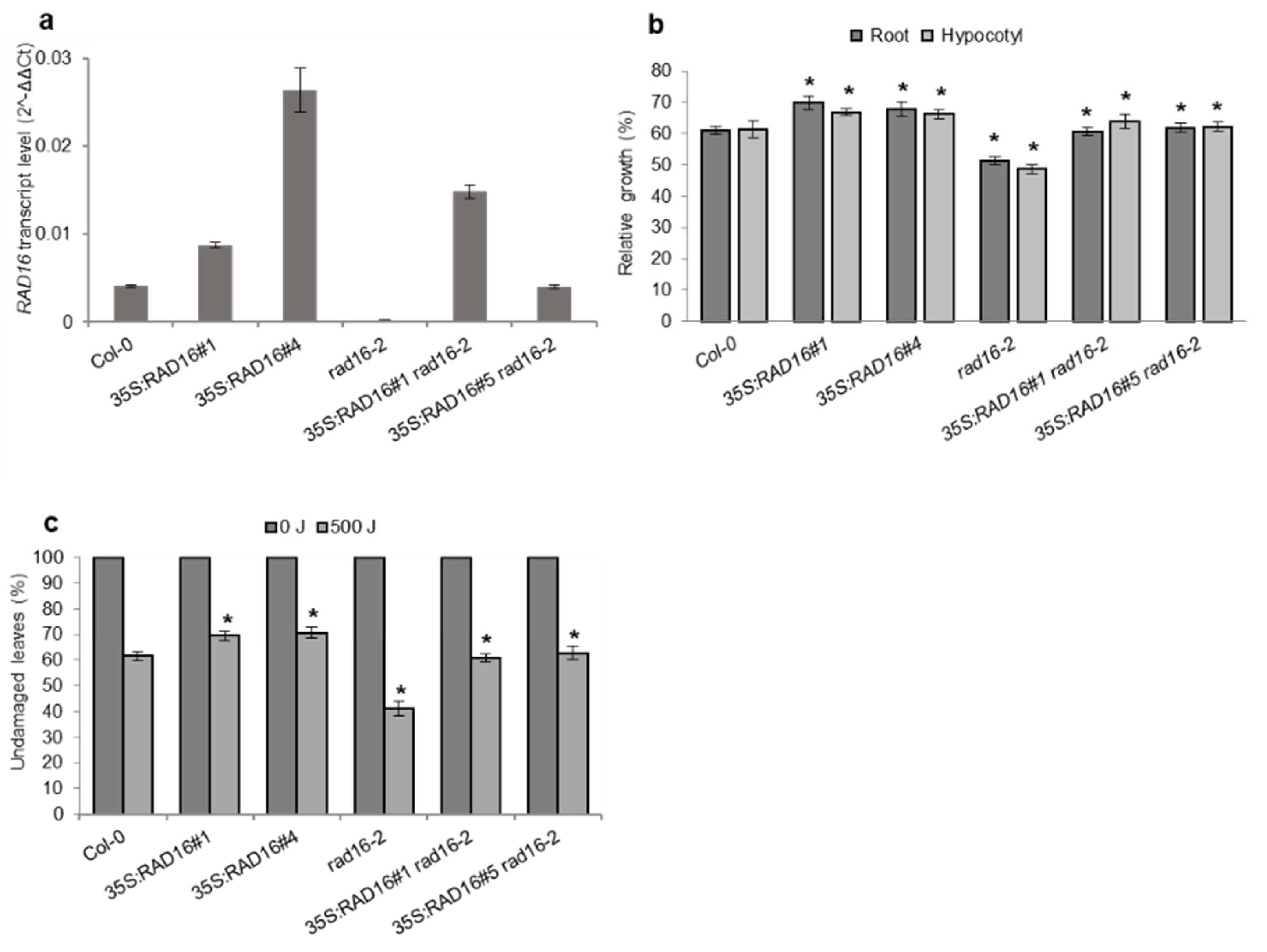 Genes 14 01552 g004 Genes 14 01552 g004