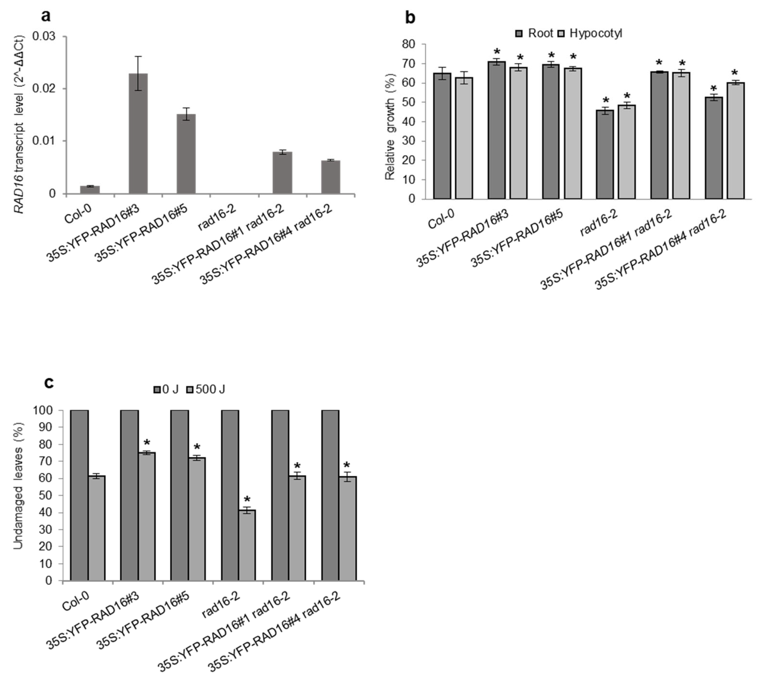 Genes 14 01552 g005 Genes 14 01552 g005
