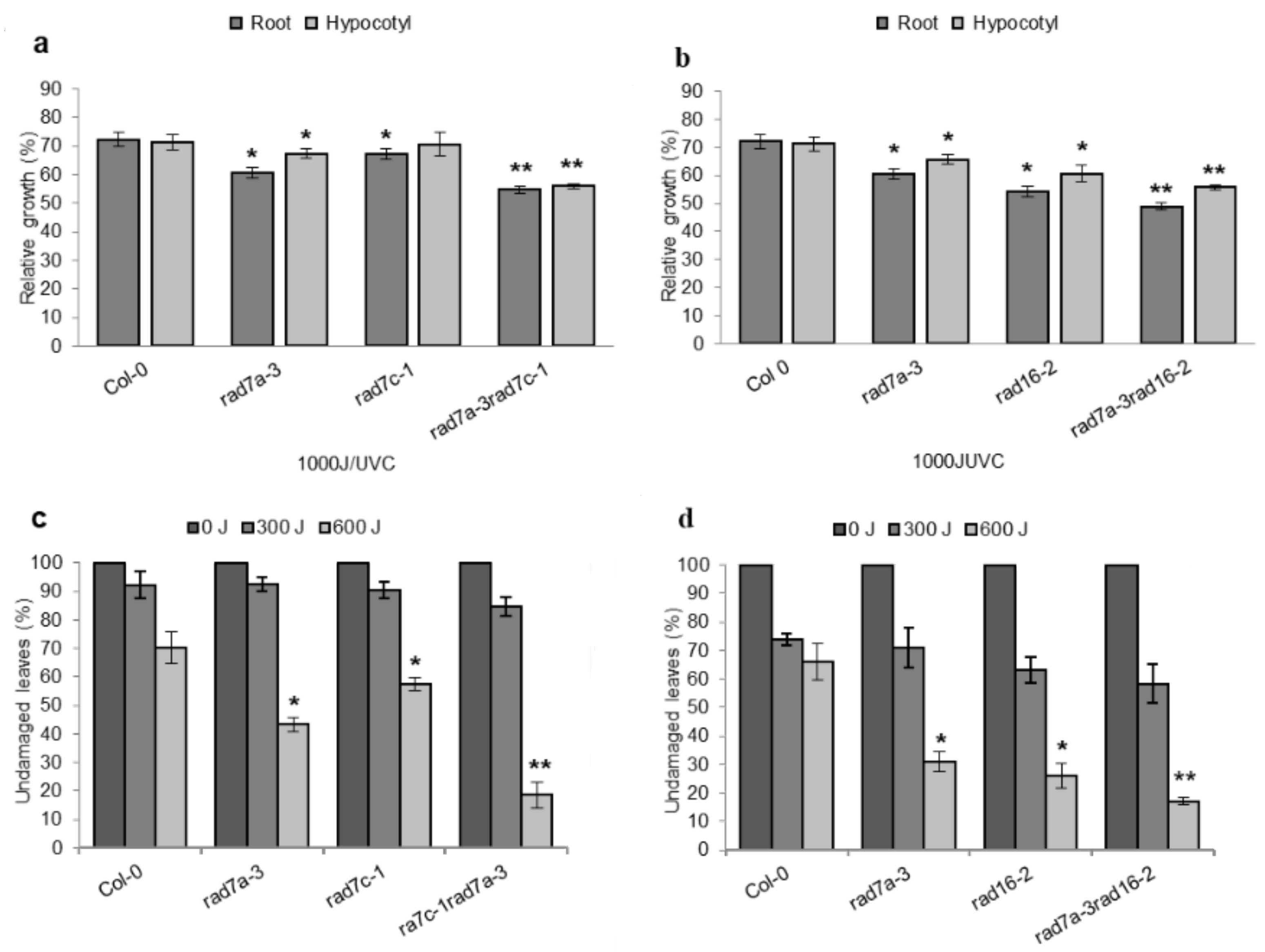 Genes 14 01552 g010 Genes 14 01552 g010
