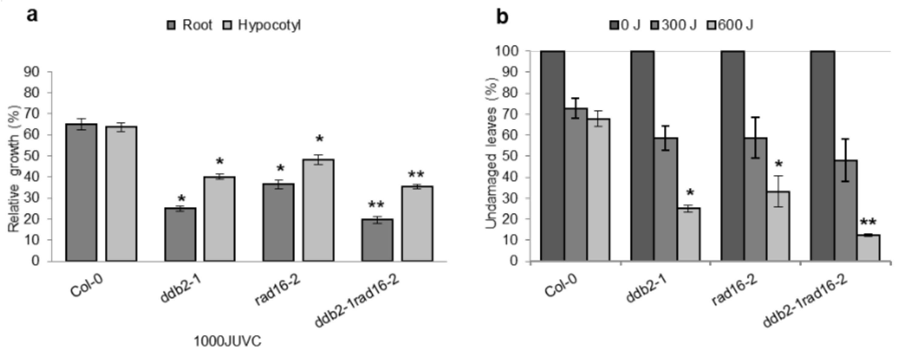 Genes 14 01552 g012 Genes 14 01552 g012
