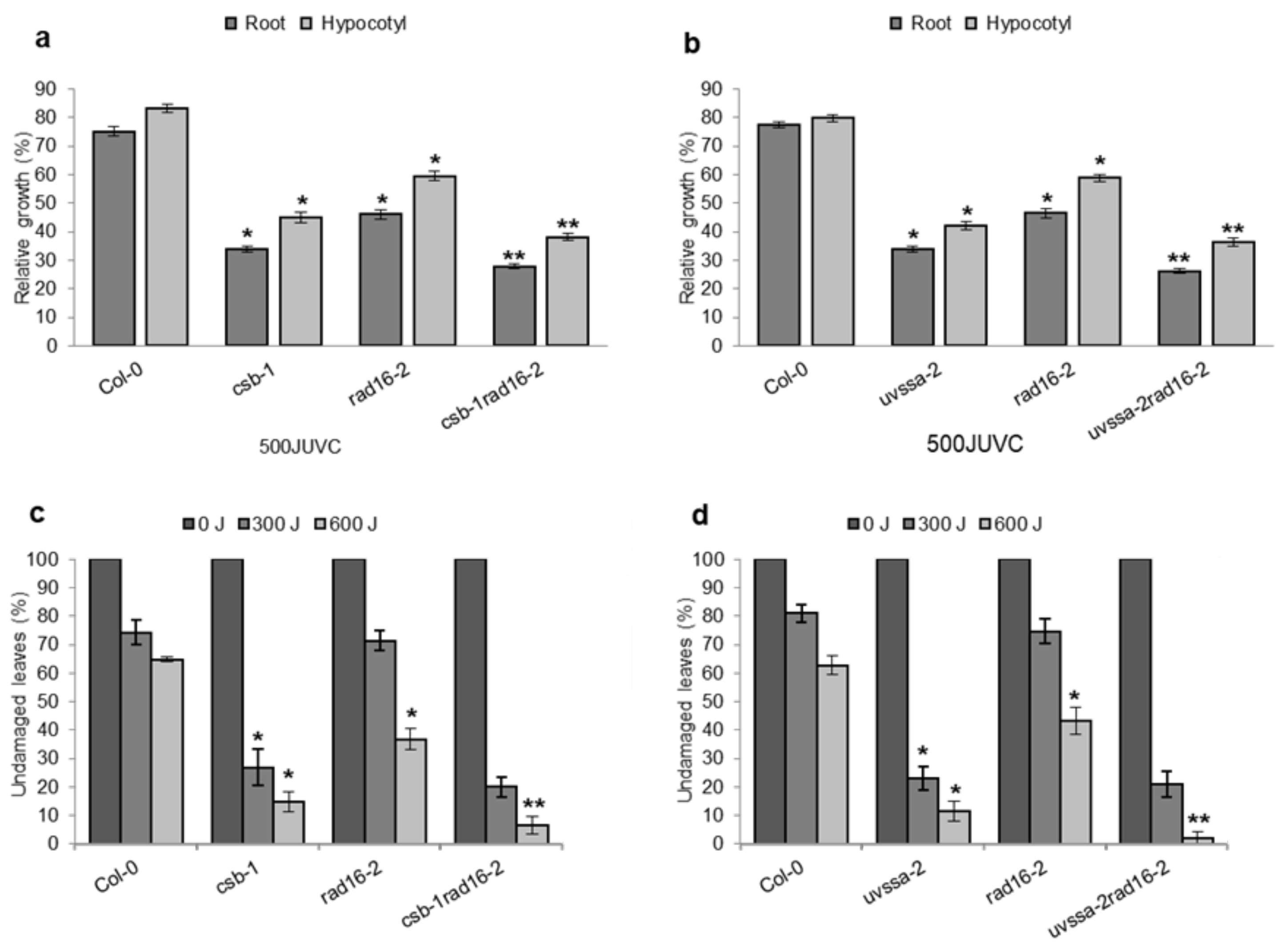 Genes 14 01552 g013 Genes 14 01552 g013