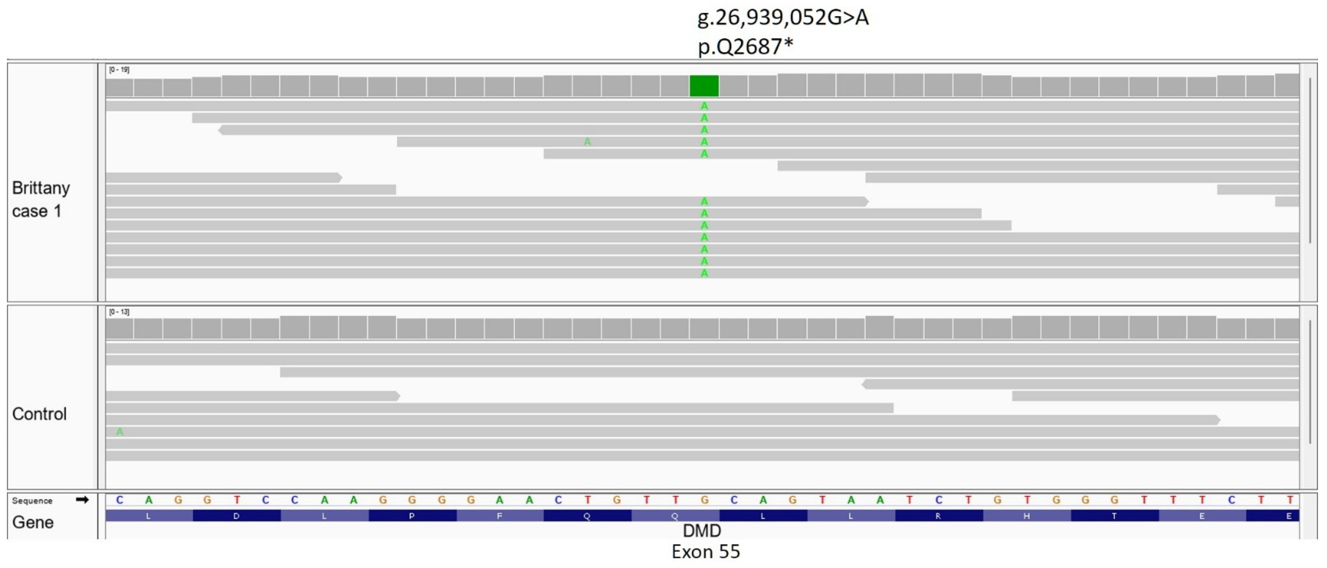 Genes 14 01557 g003