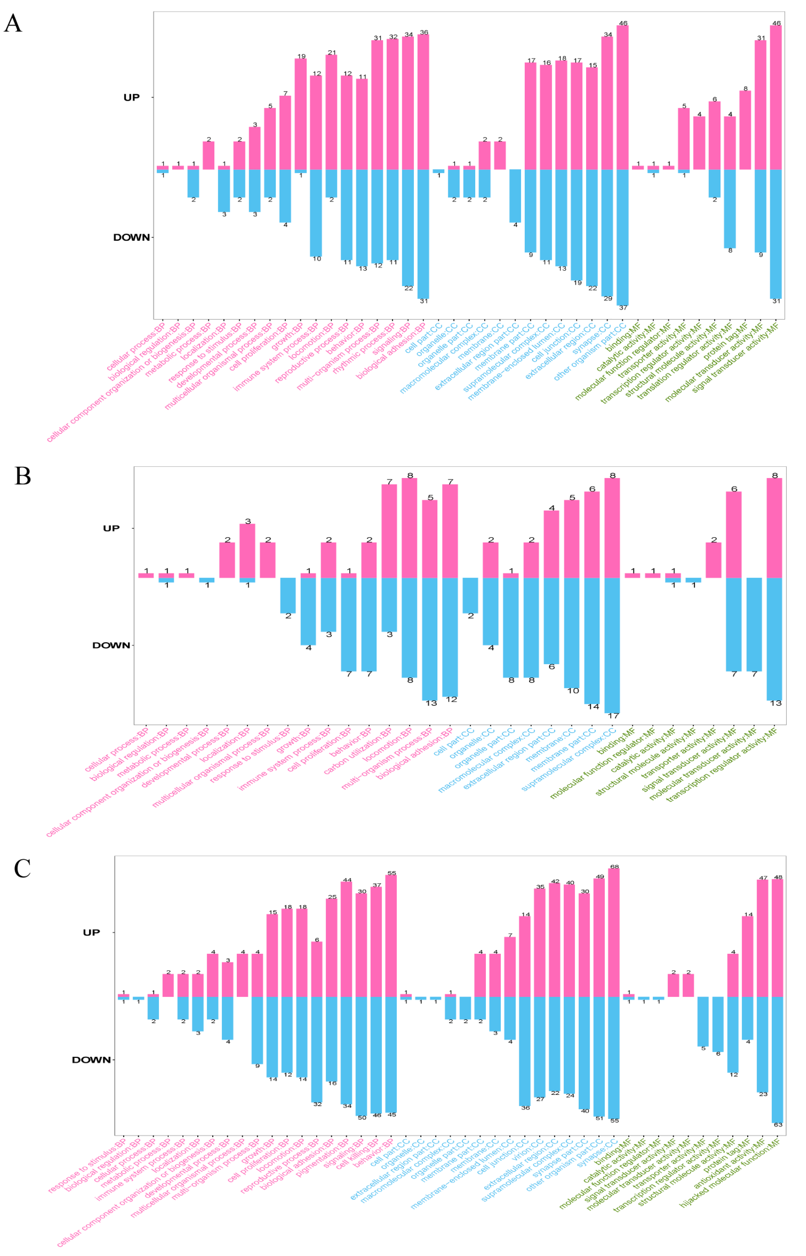 Genes 14 01560 g005 Genes 14 01560 g005