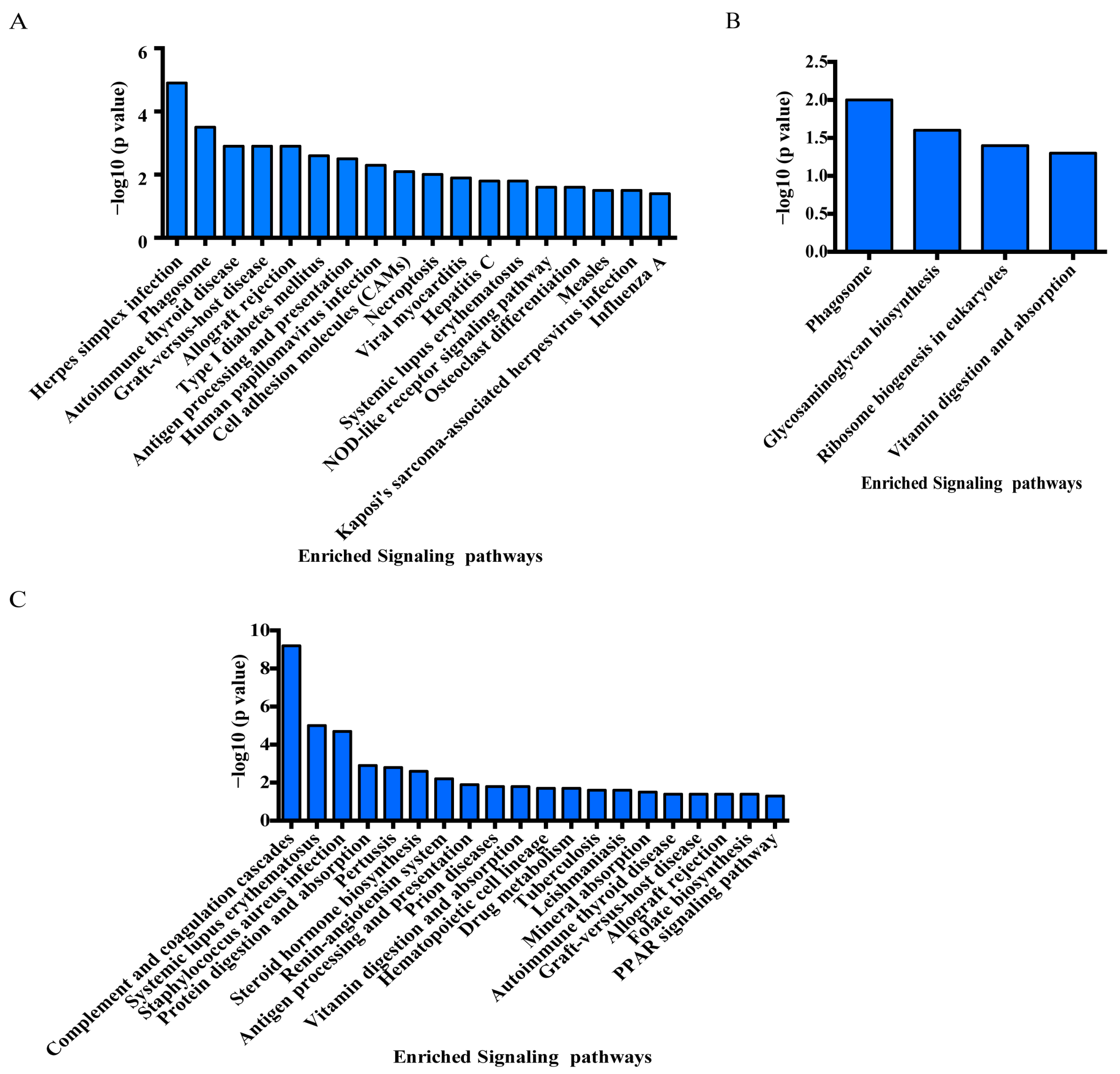 Genes 14 01560 g006 Genes 14 01560 g006