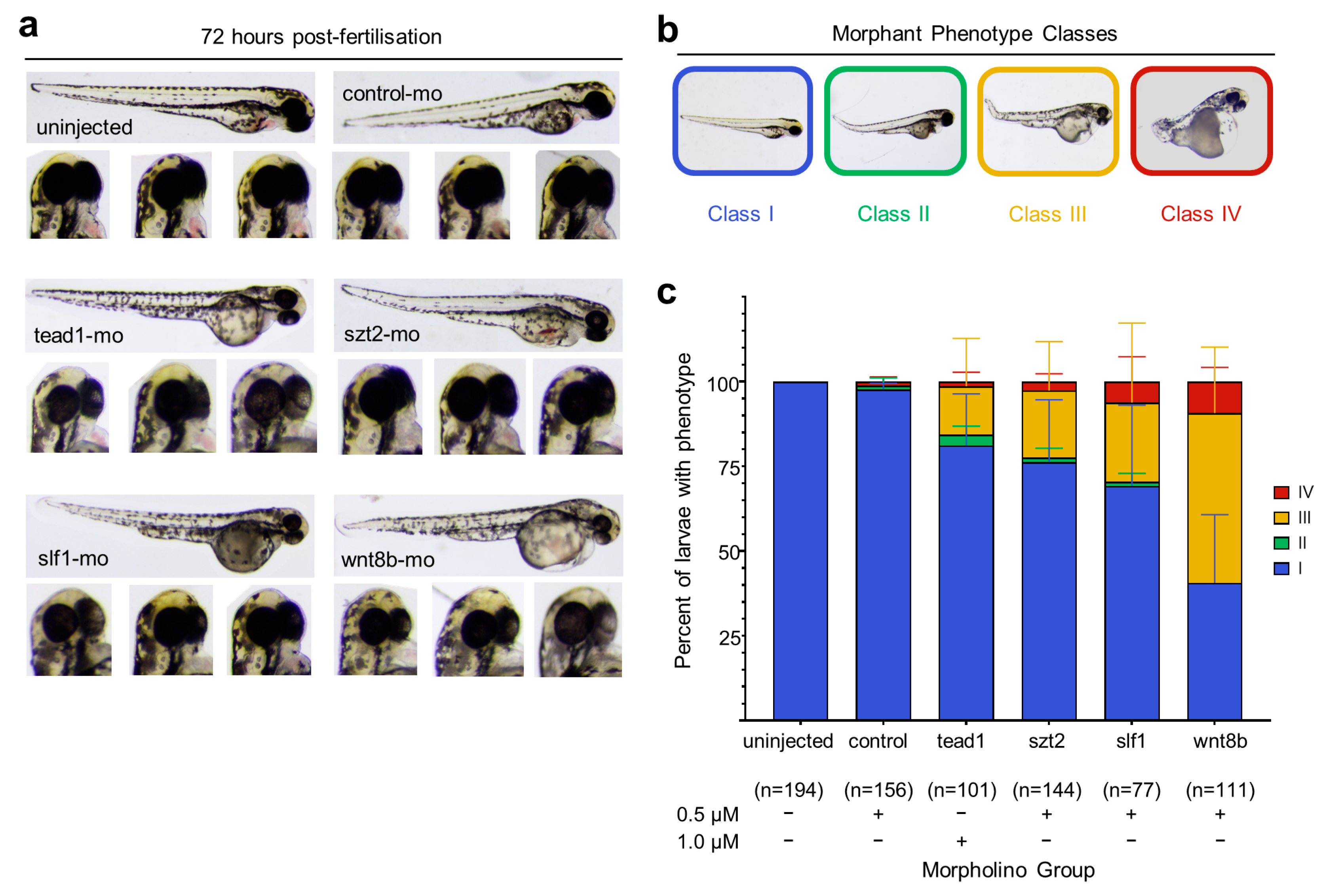 Genes 14 01565 g002 Genes 14 01565 g002