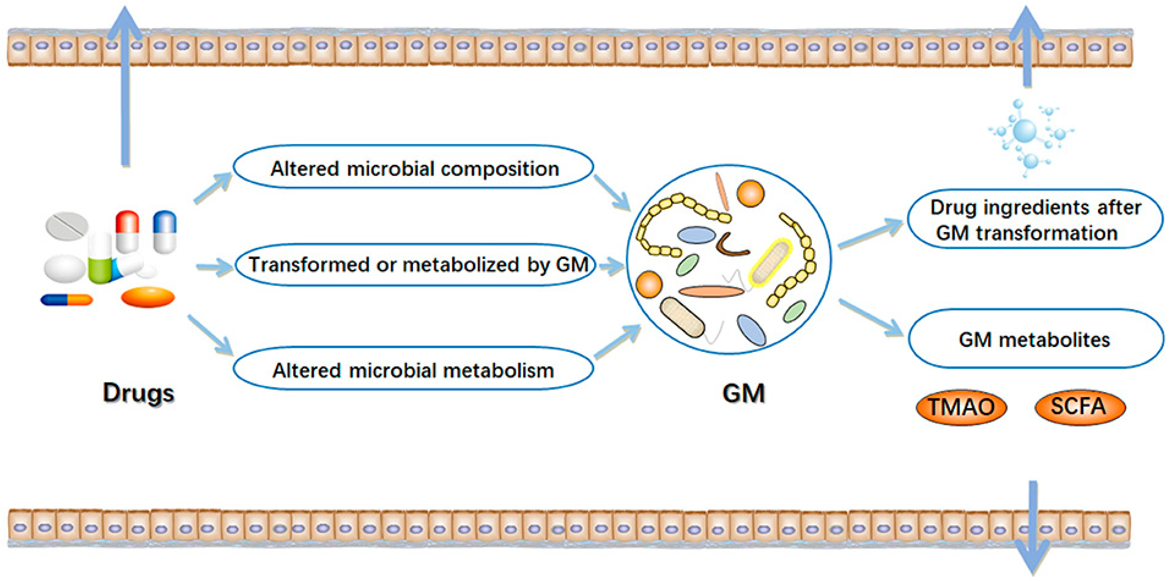 Genes 14 01572 g001 Genes 14 01572 g001