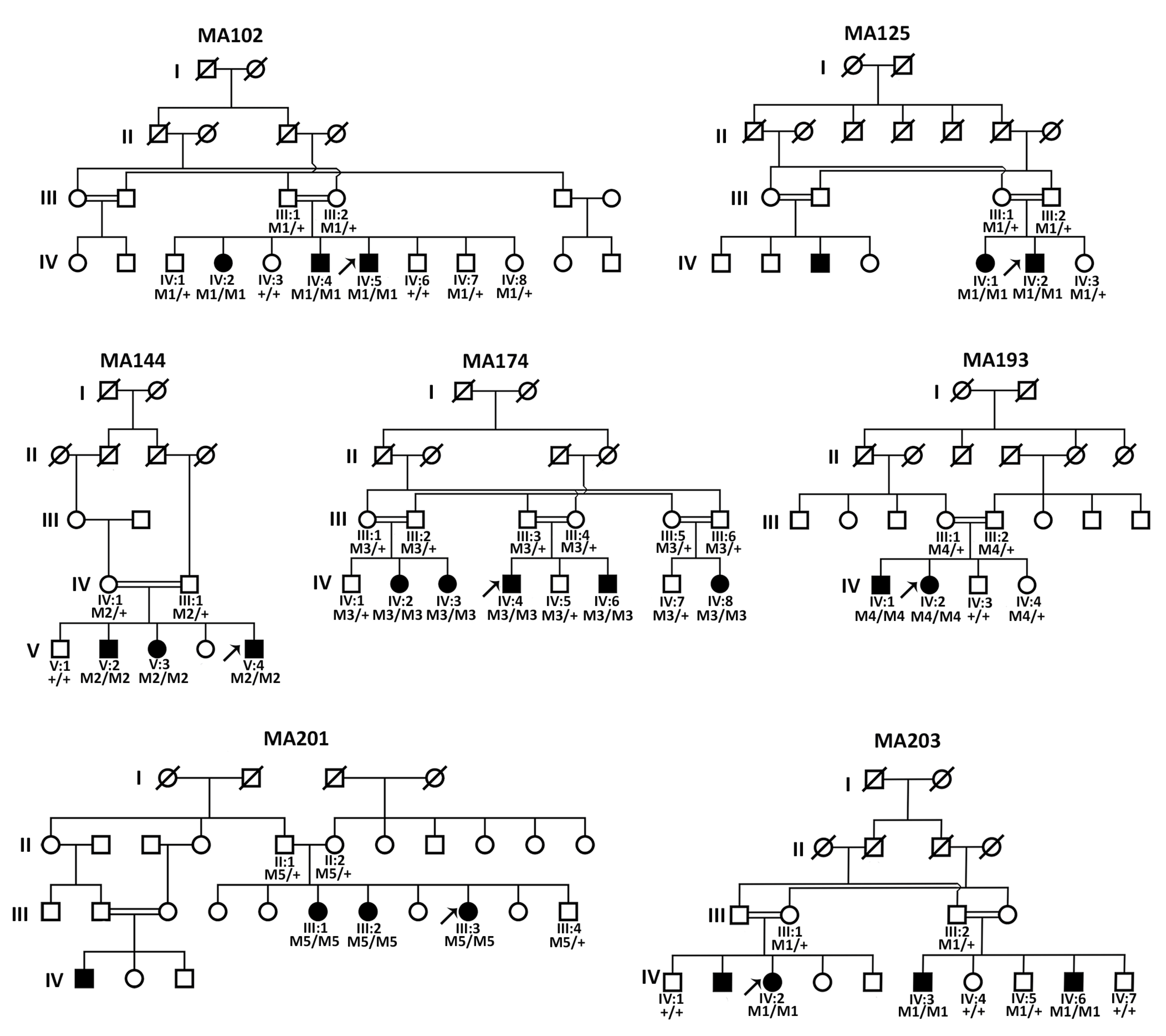 Genes 14 01573 g001 Genes 14 01573 g001