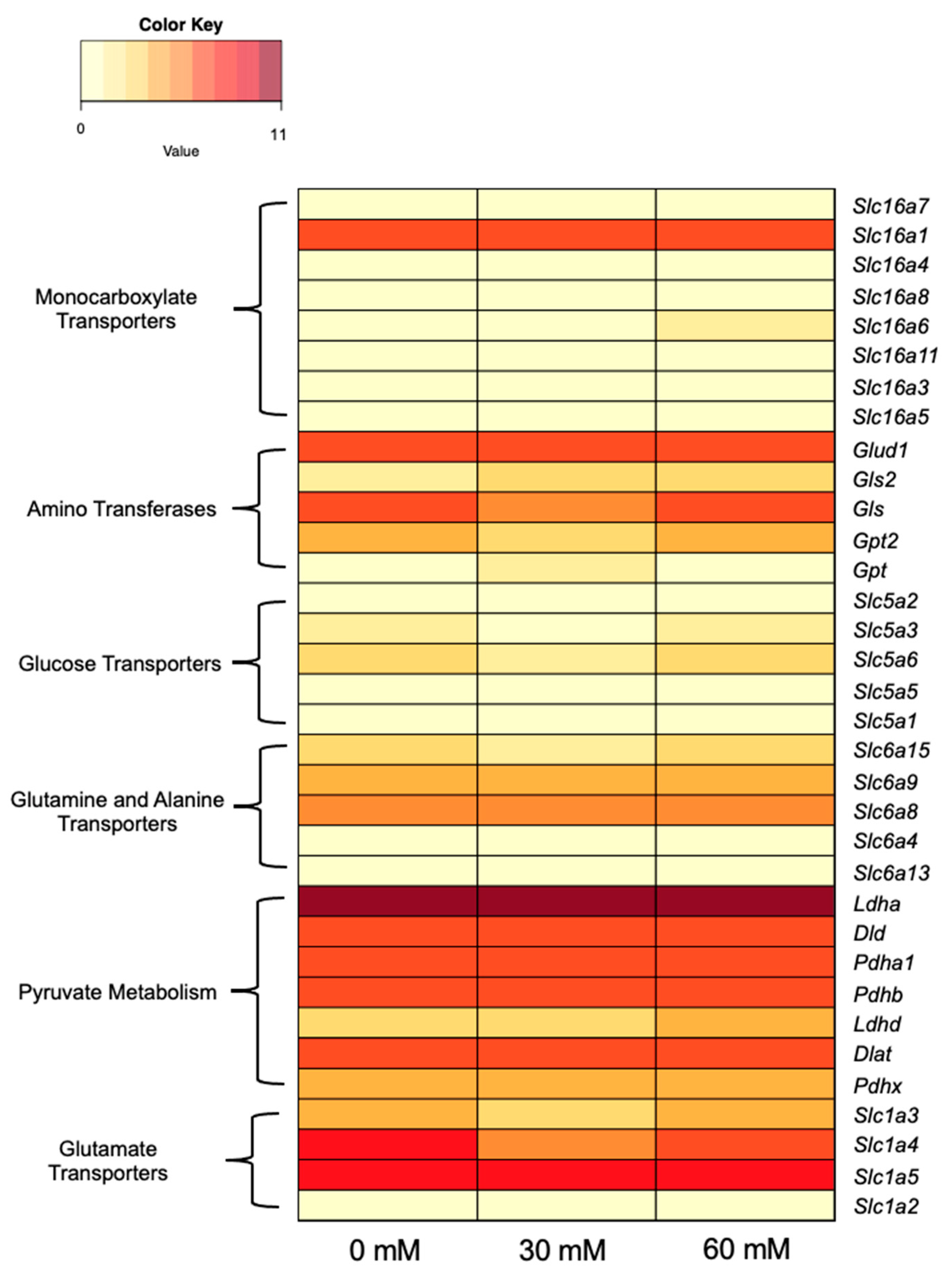 Genes 14 01576 g006 Genes 14 01576 g006