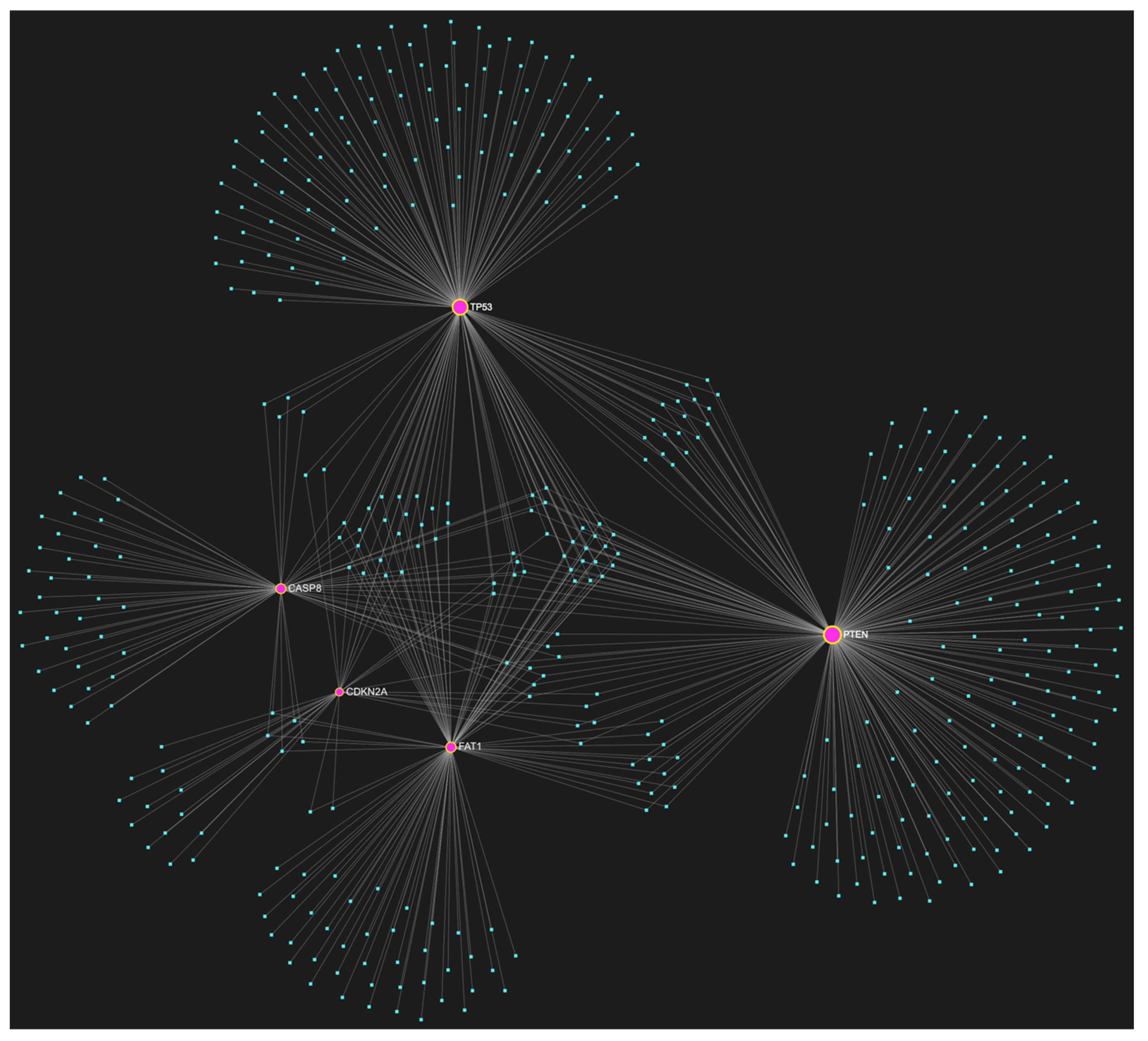 Genes 14 01578 g001 Genes 14 01578 g001