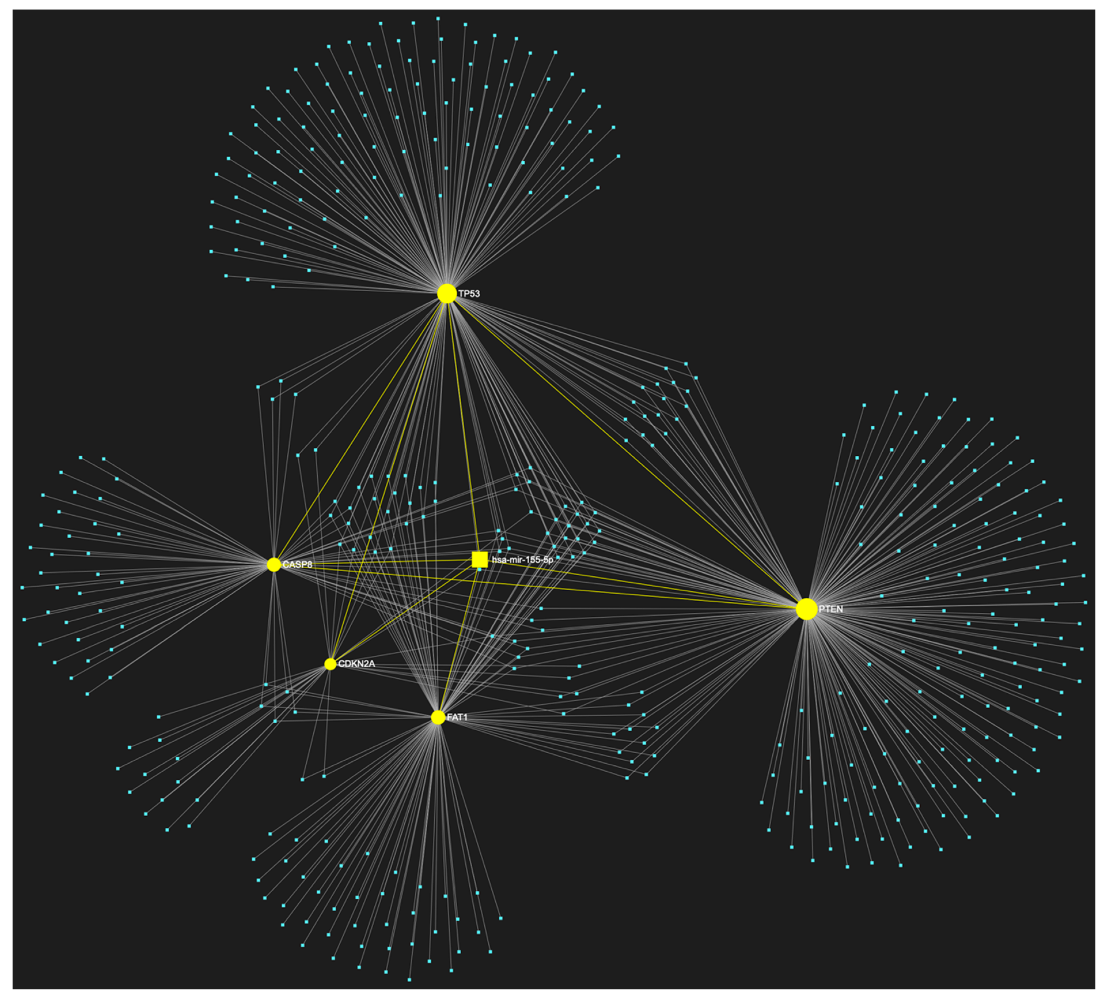 Genes 14 01578 g003 Genes 14 01578 g003