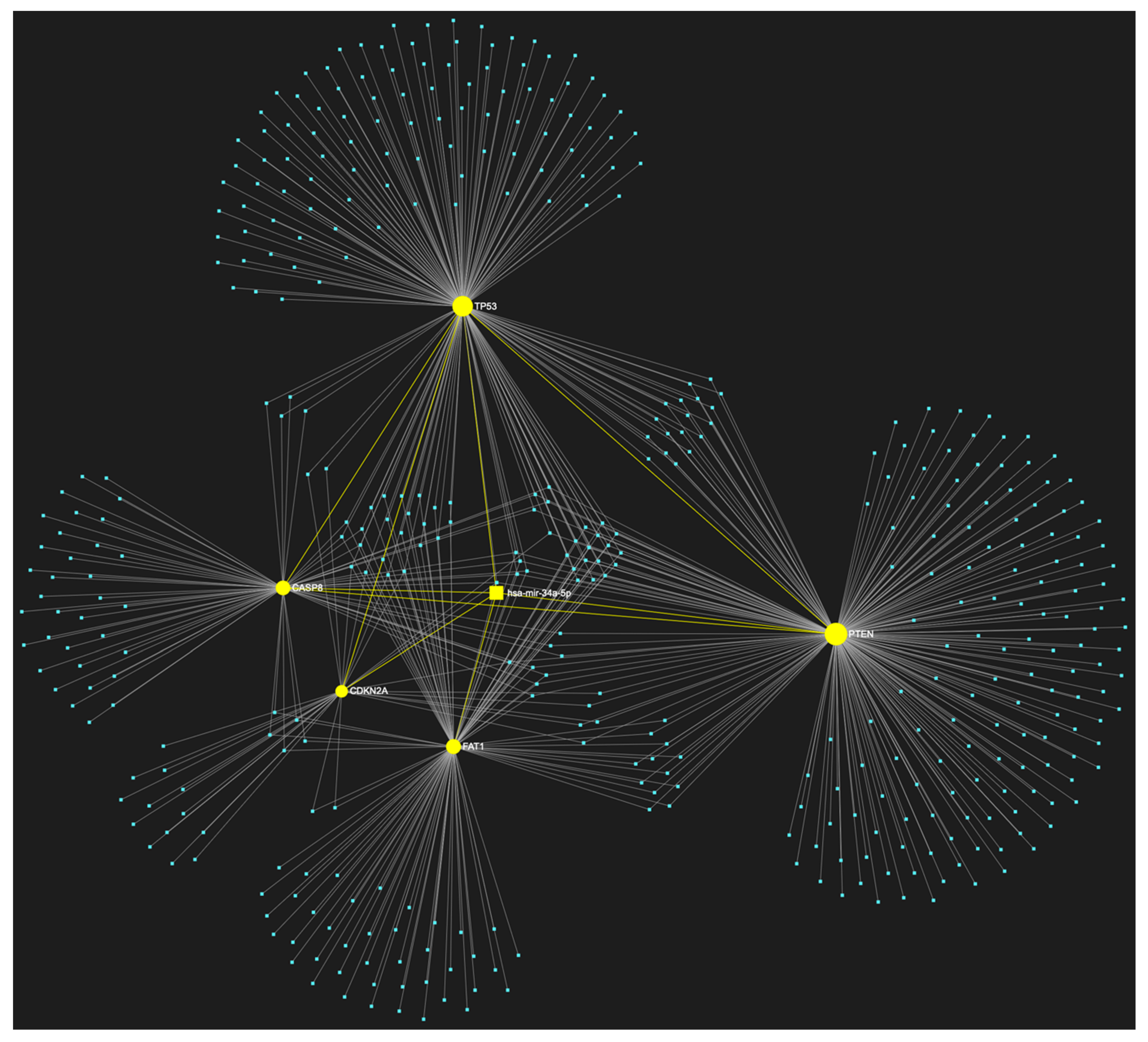 Genes 14 01578 g008 Genes 14 01578 g008