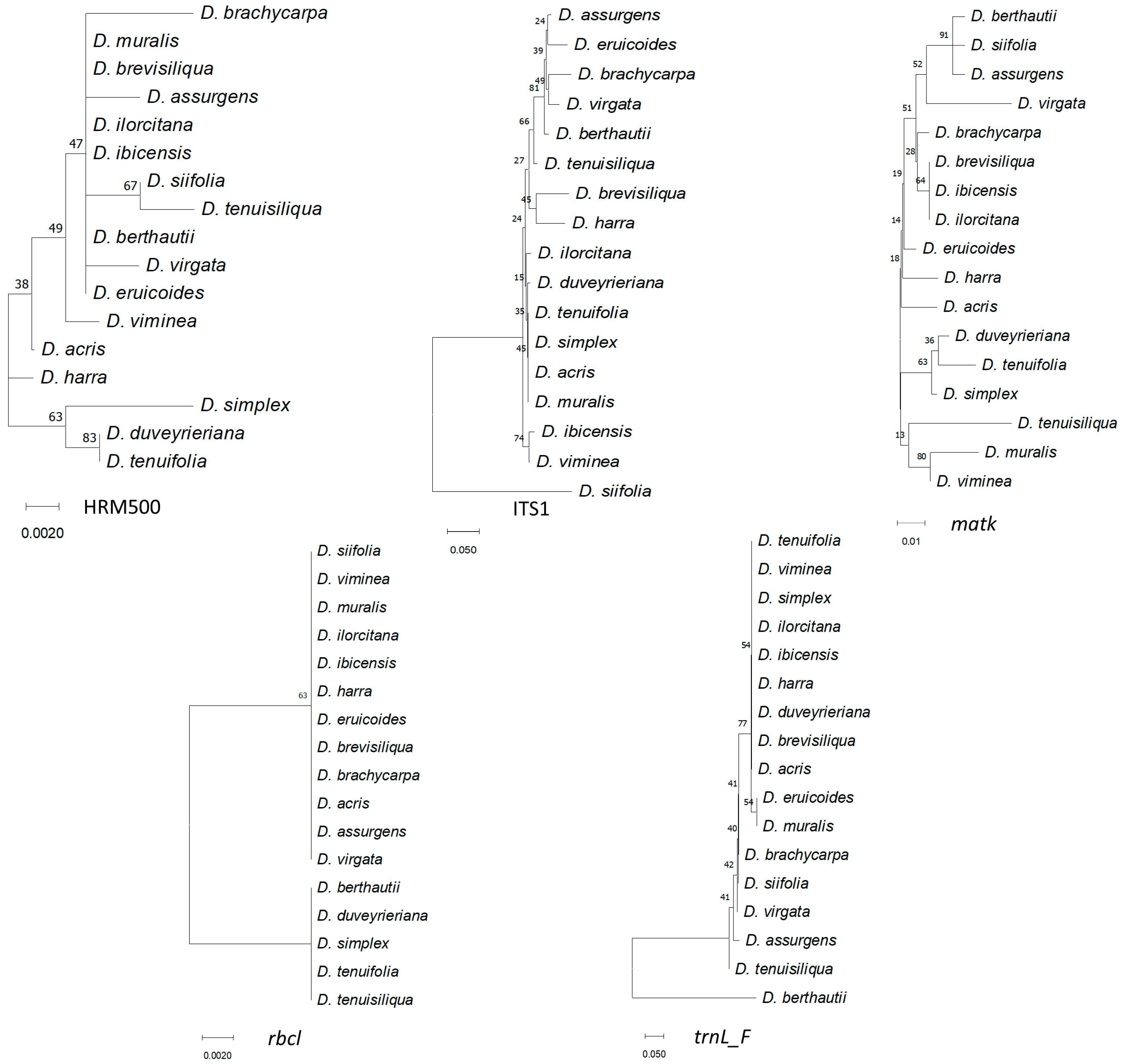 Genes 14 01594 g004 Genes 14 01594 g004