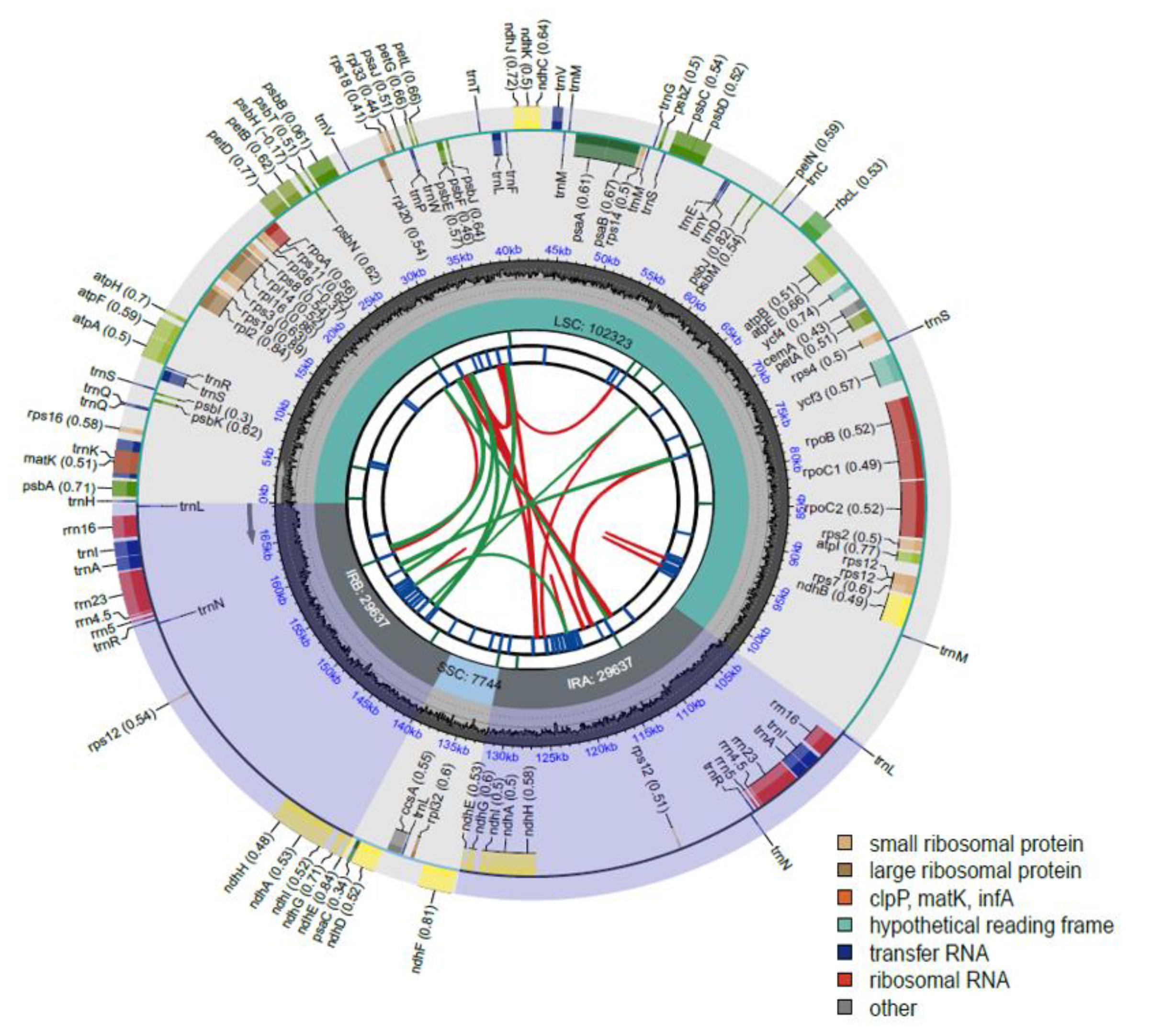 Genes 14 01597 g001 Genes 14 01597 g001