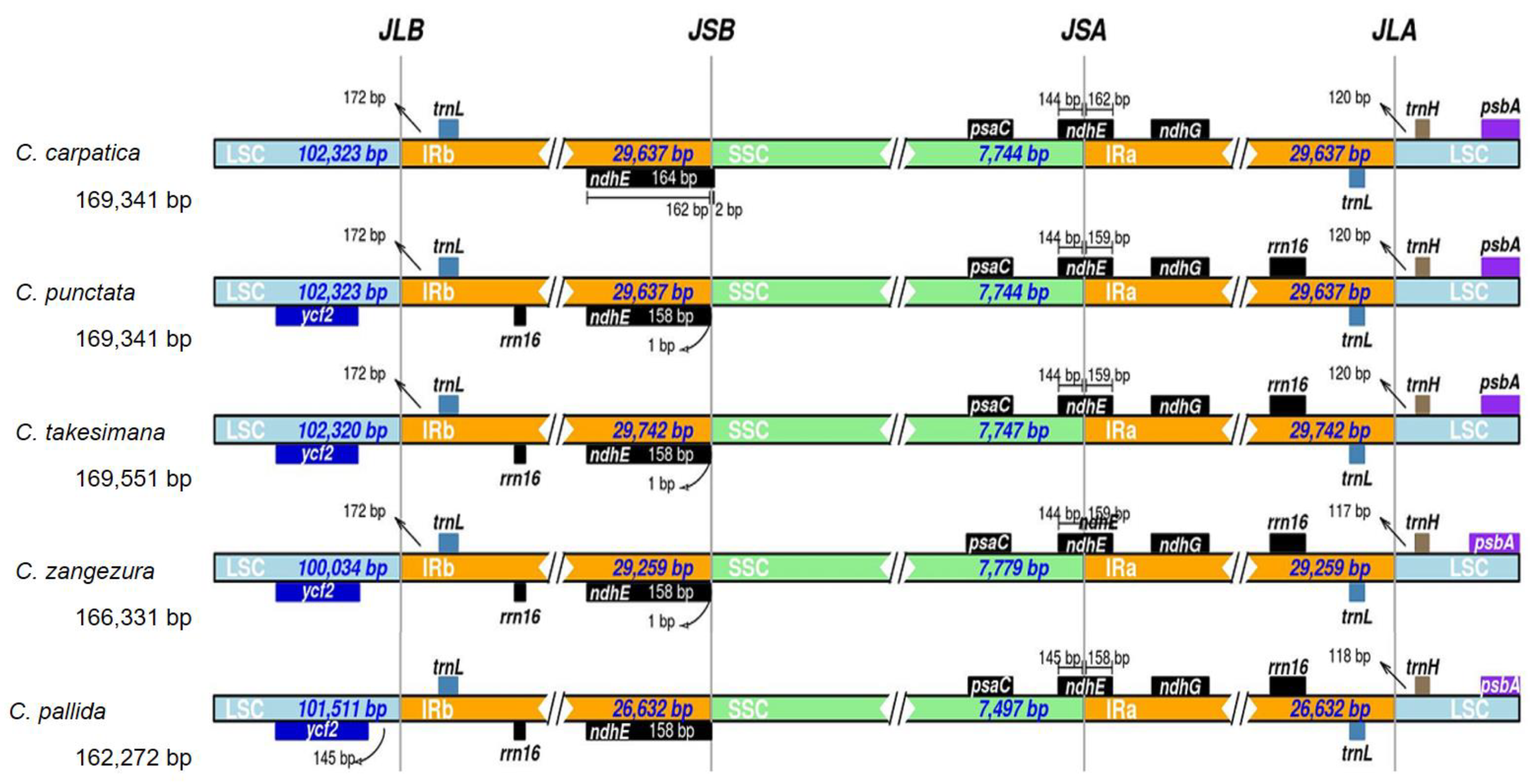 Genes 14 01597 g004 Genes 14 01597 g004