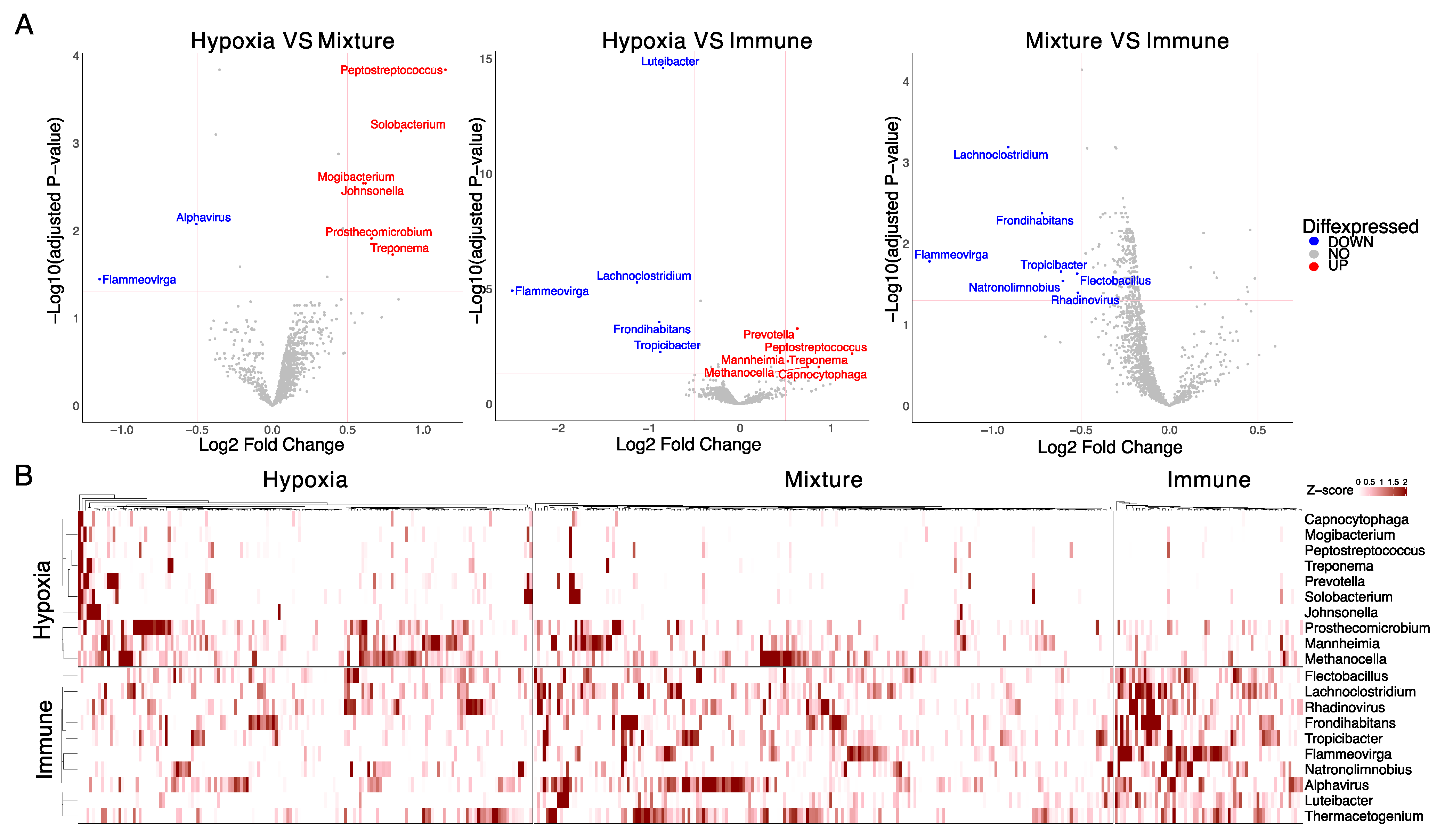 Genes 14 01599 g002 Genes 14 01599 g002