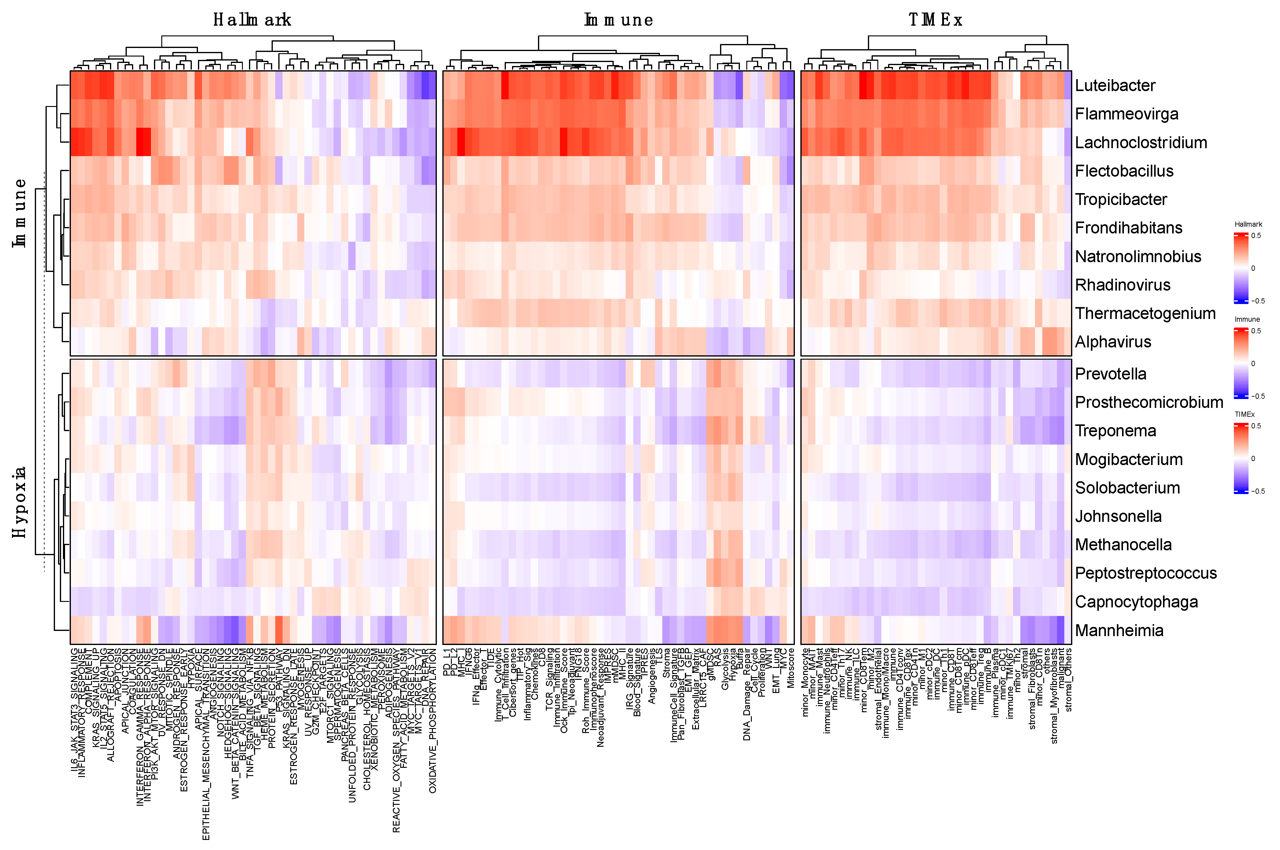 Genes 14 01599 g003 Genes 14 01599 g003