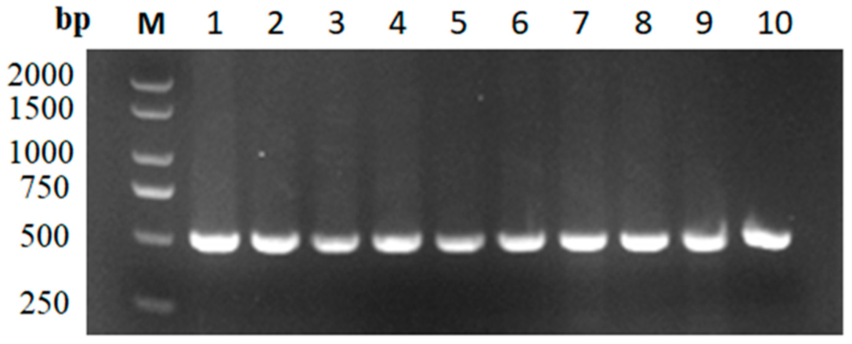 Genes 14 01605 g003 Genes 14 01605 g003