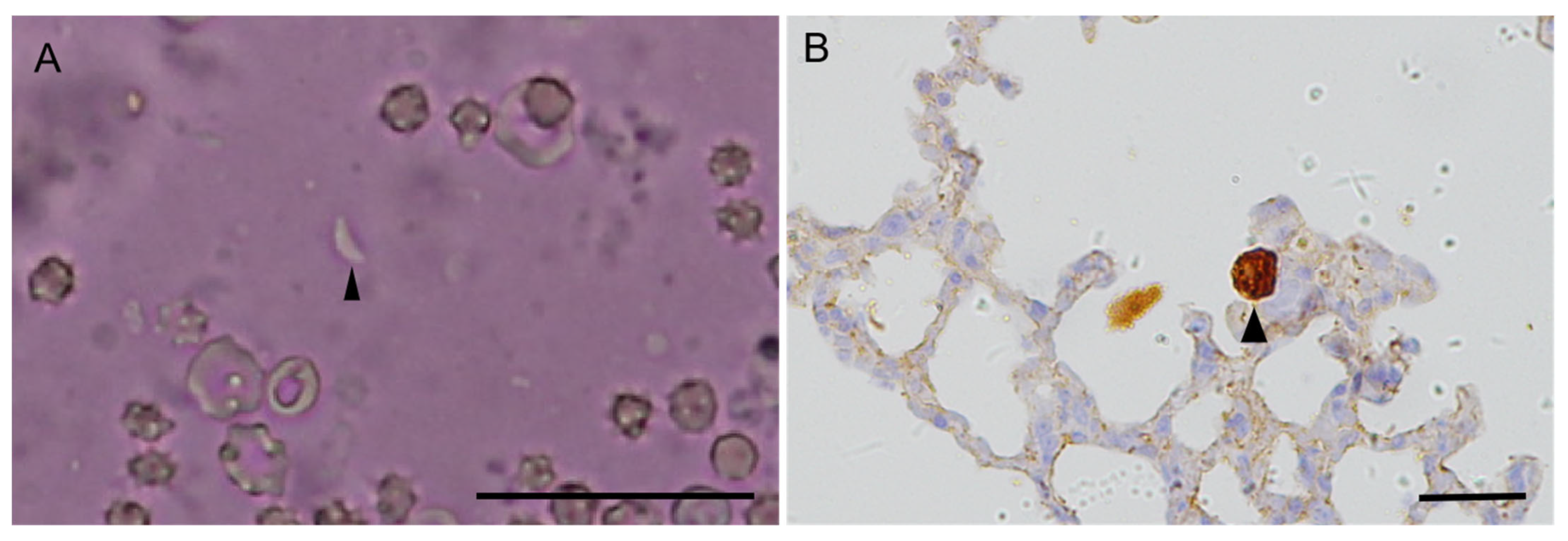 Genes 14 01606 g002 Genes 14 01606 g002