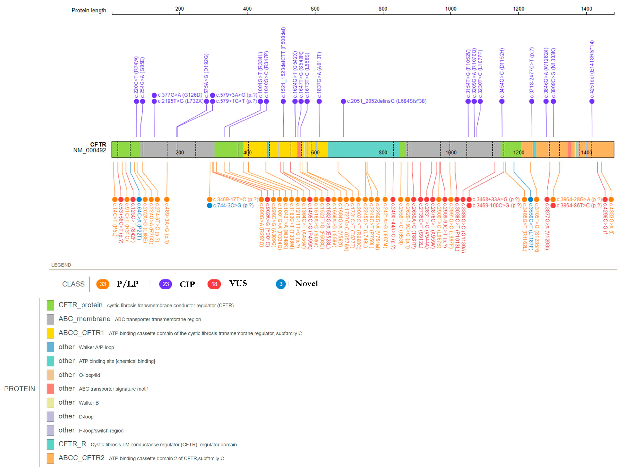 Genes 14 01608 g002 Genes 14 01608 g002