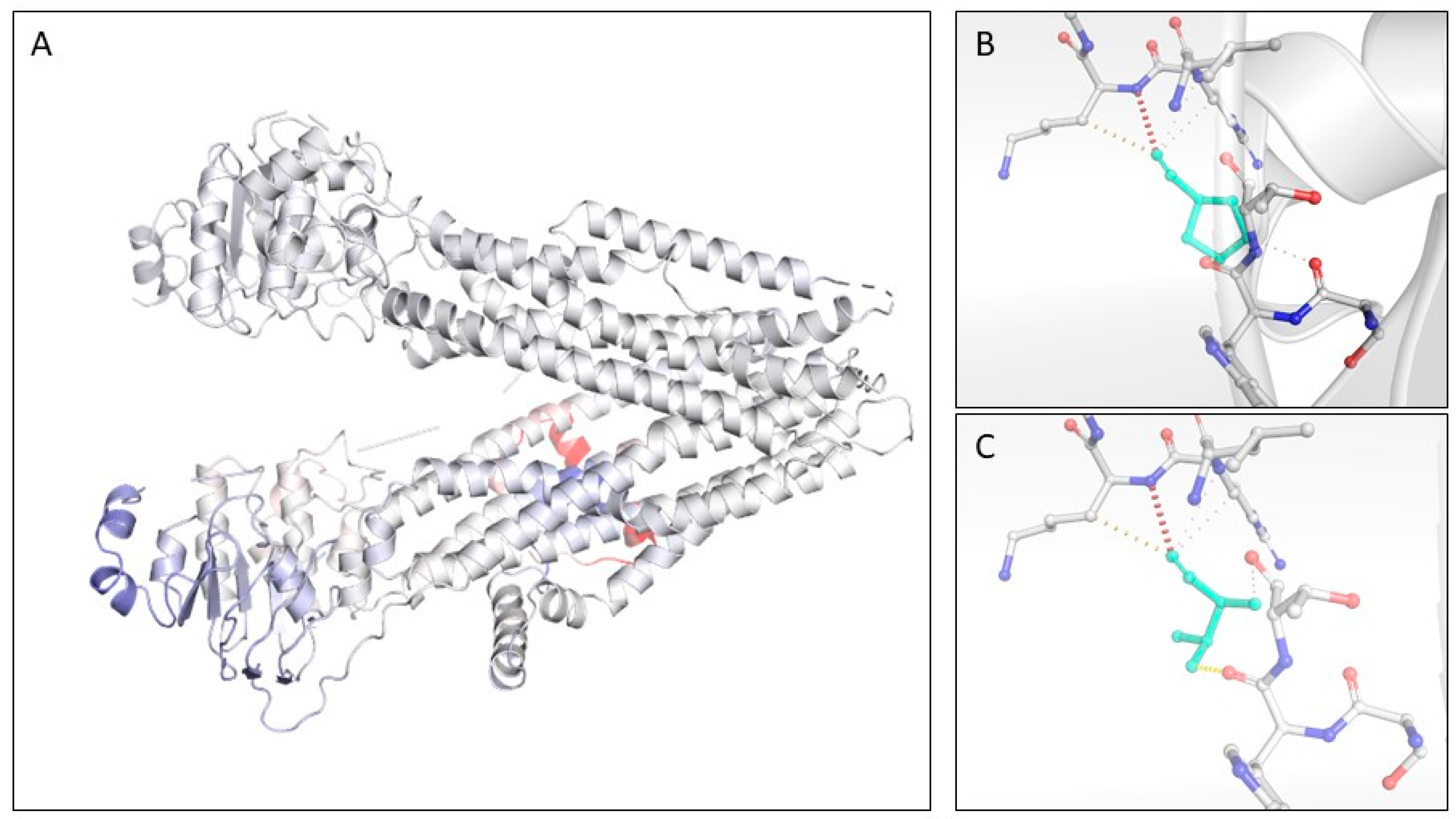 Genes 14 01608 g005 Genes 14 01608 g005