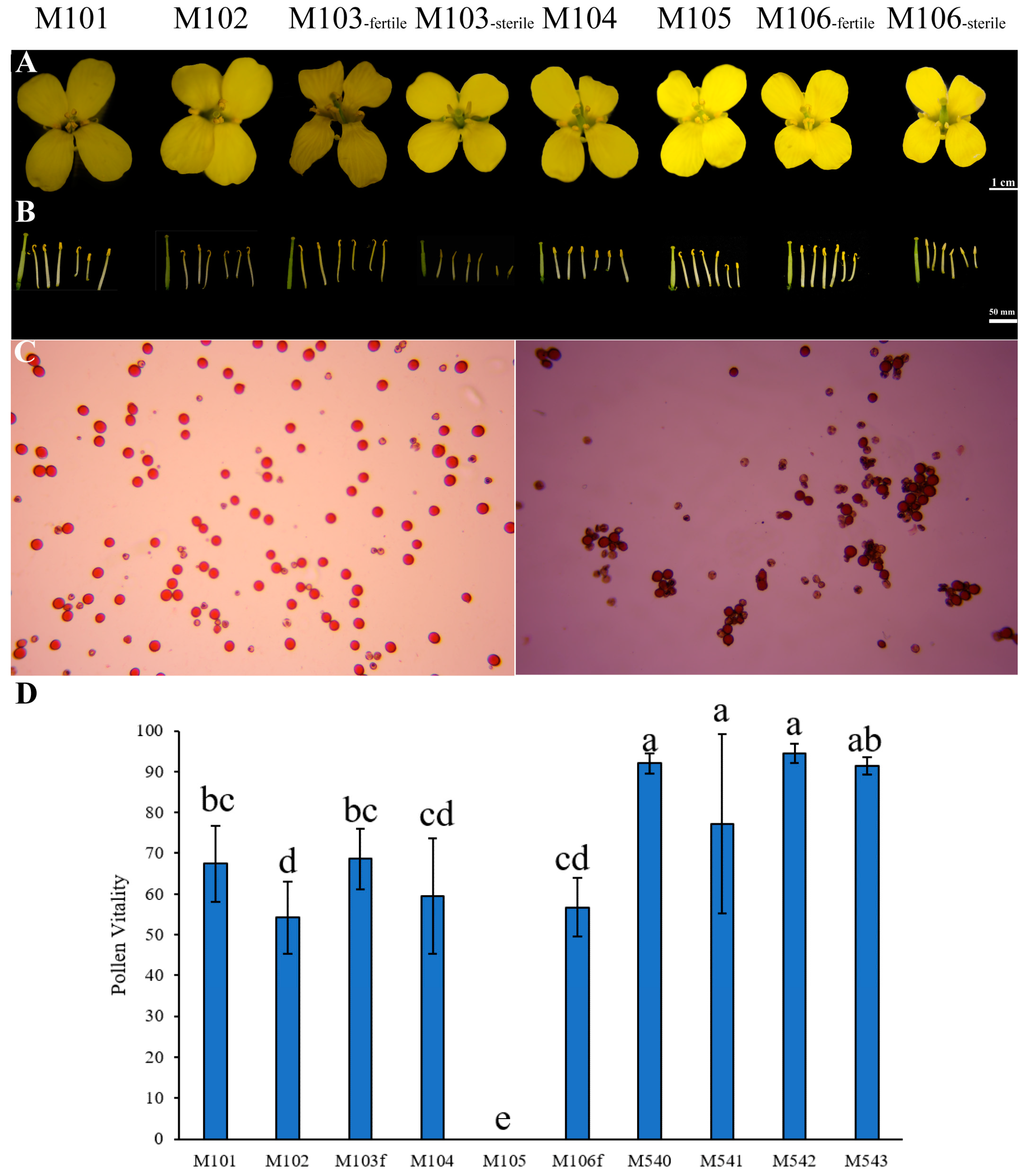 Genes 14 01613 g004 Genes 14 01613 g004