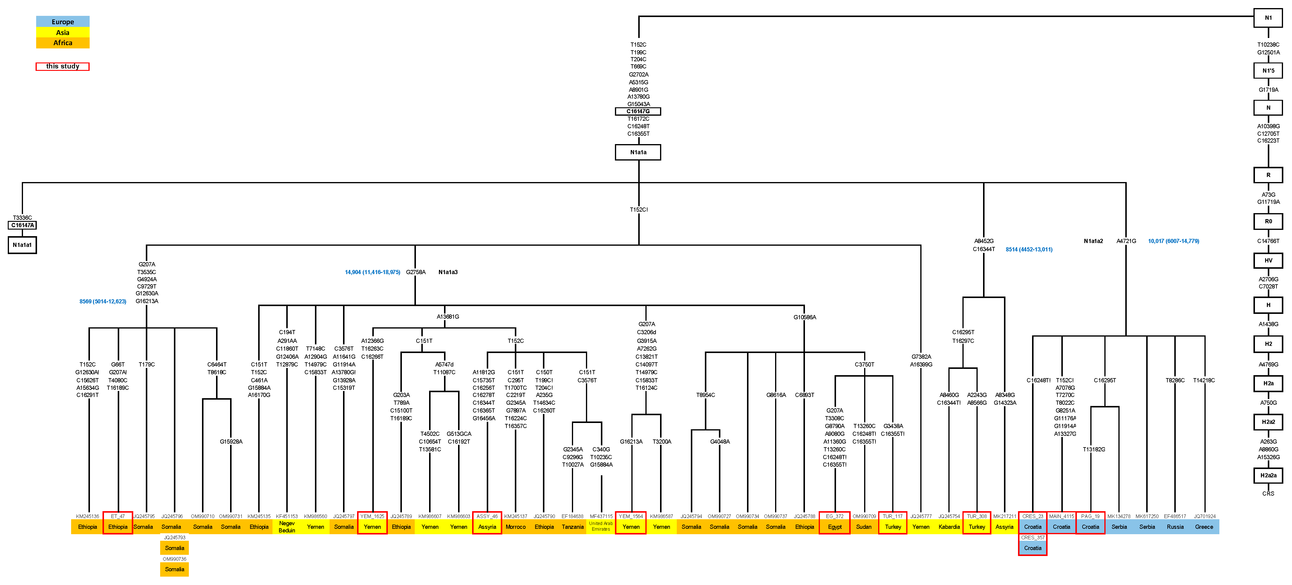 Genes 14 01614 g001 Genes 14 01614 g001