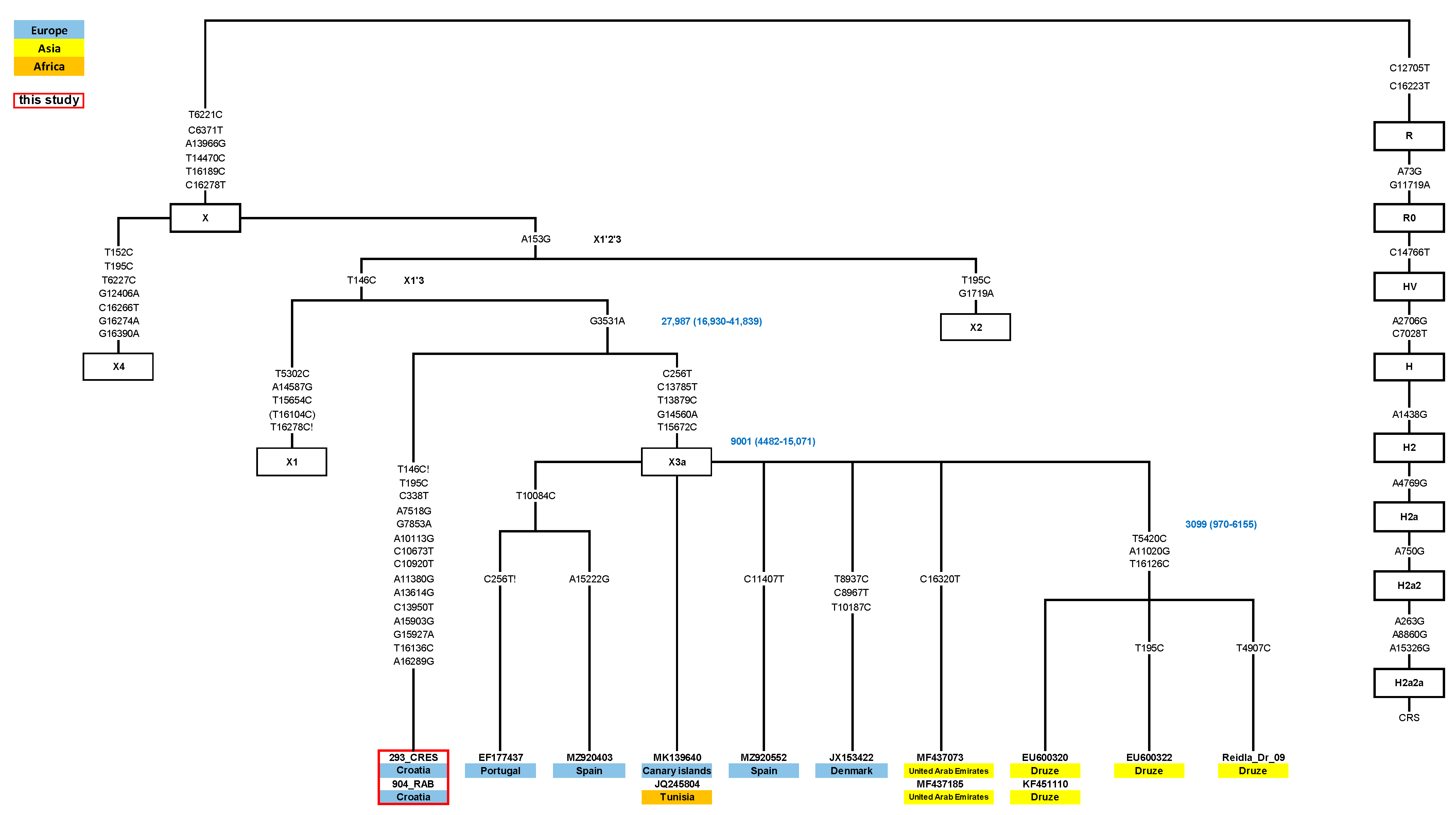 Genes 14 01614 g002 Genes 14 01614 g002